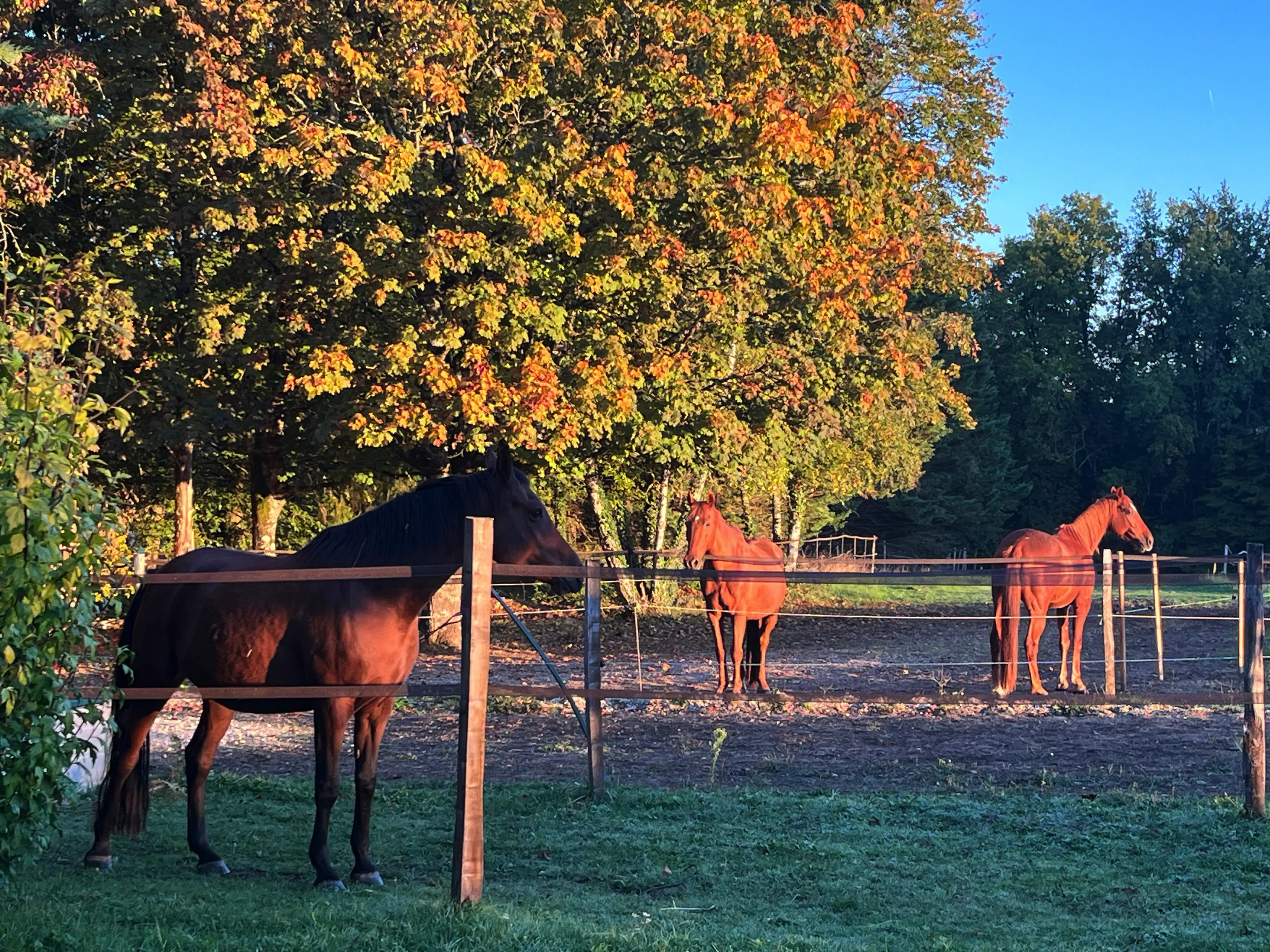 Lieu de Retraite Yoga en Dordogne 6.webp