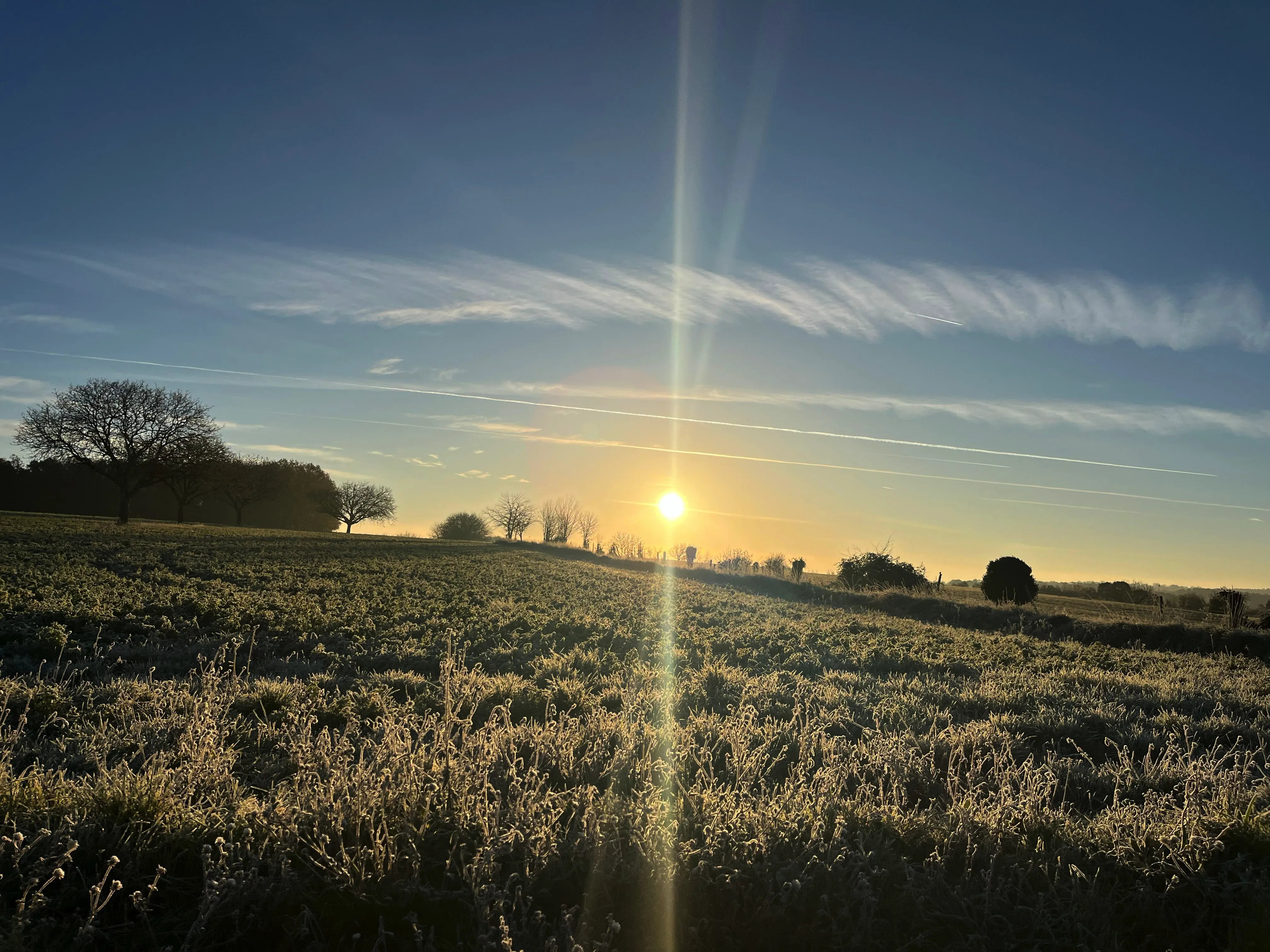 Lieu de Retraite Yoga en Dordogne 9.webp