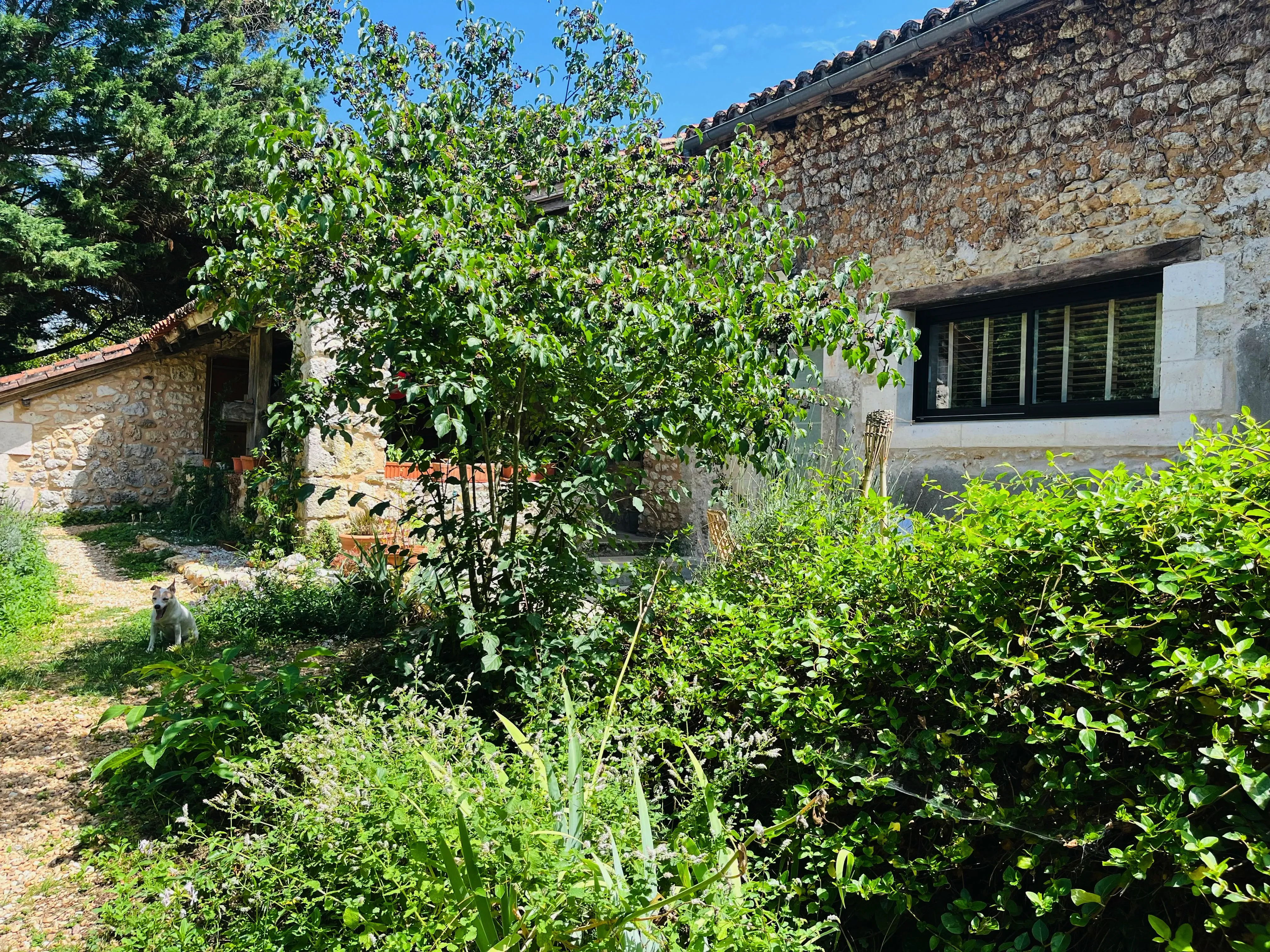 Lieu de Retraite Yoga en Dordogne 5.webp