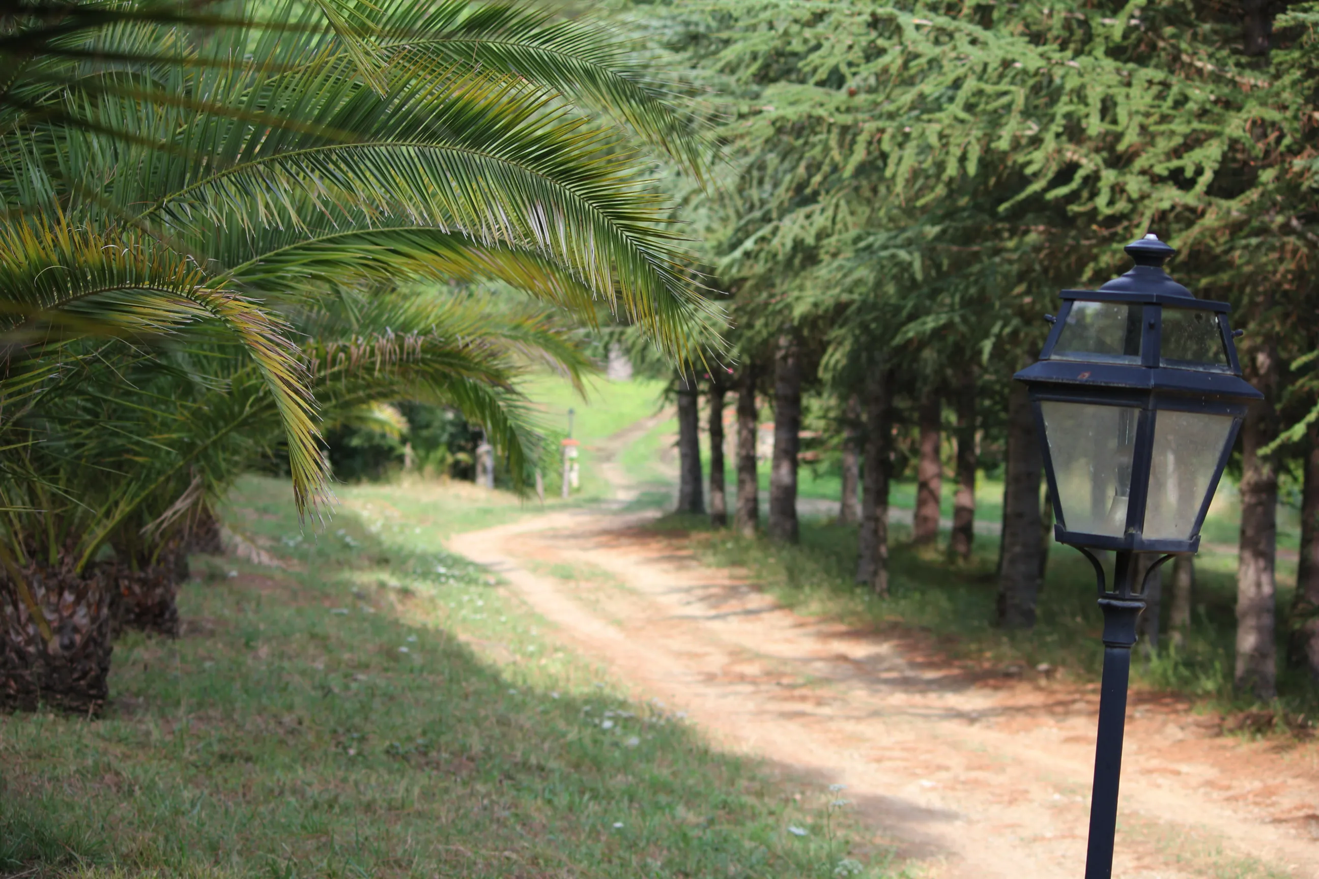 Lieu de Retraite Yoga en Pyrenees-Orientales 3.webp