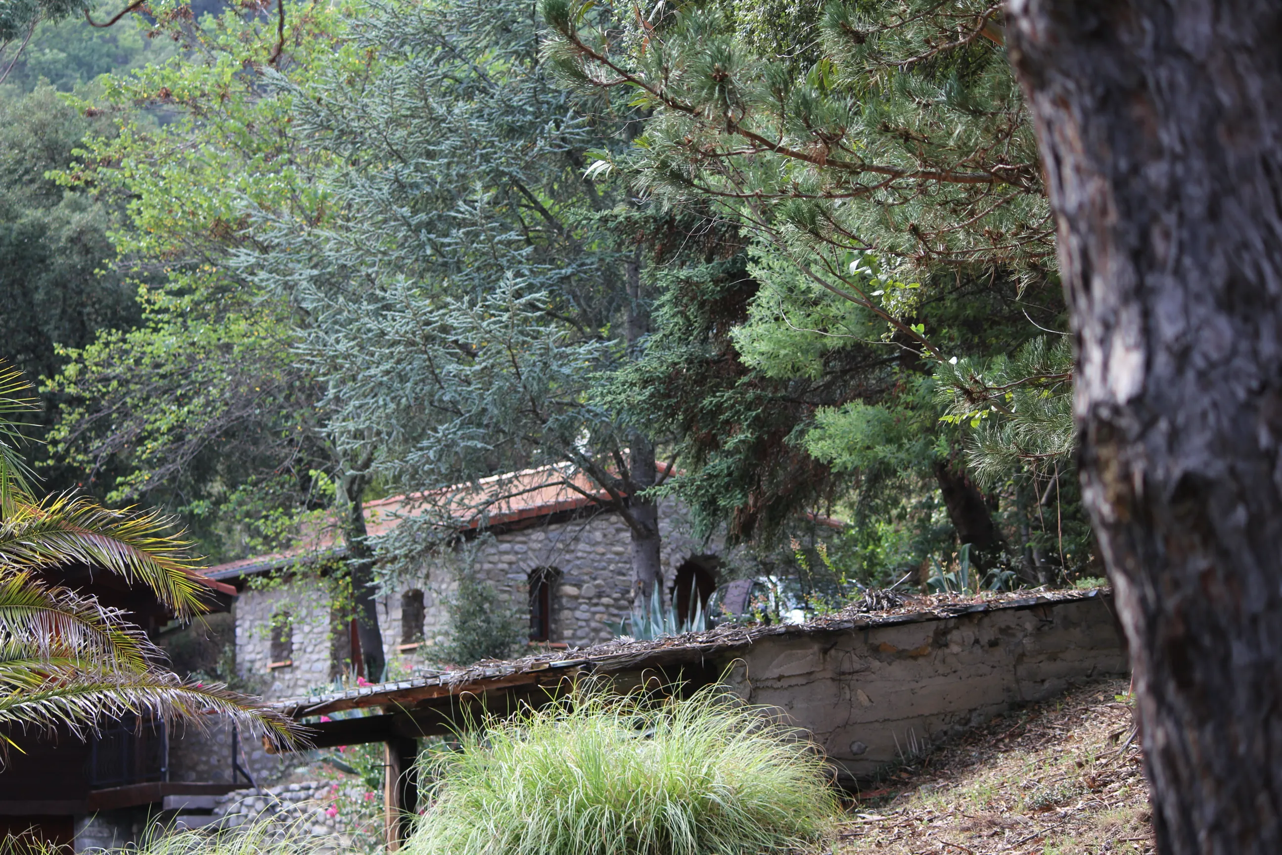 Lieu de Retraite Yoga en Pyrenees-Orientales 11.webp