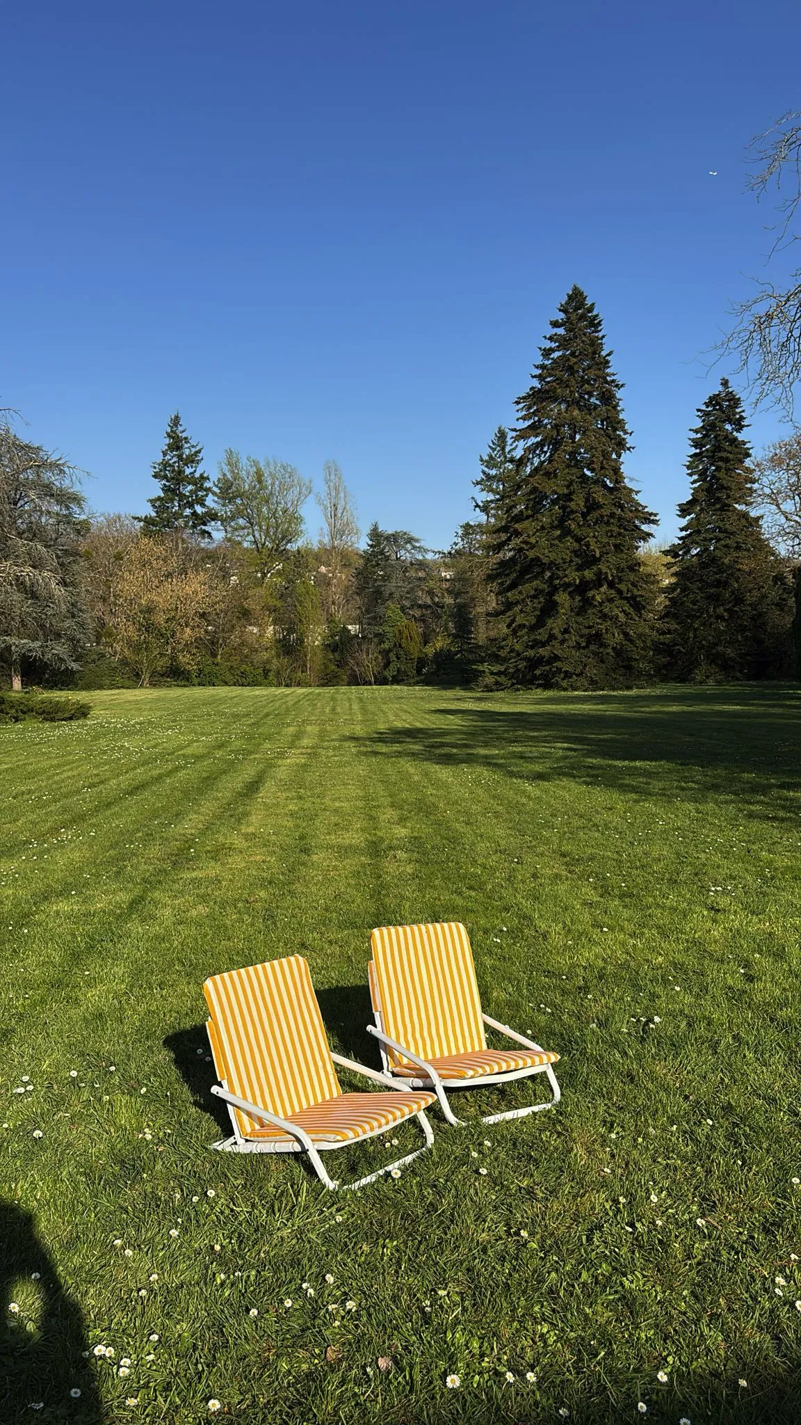 Lieu de Retraite Yoga en Seine-et-Marne 1.webp