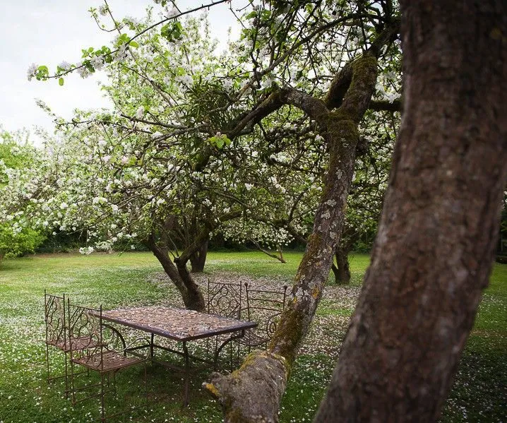 Lieu de Retraite Yoga en Seine-et-Marne 2.webp