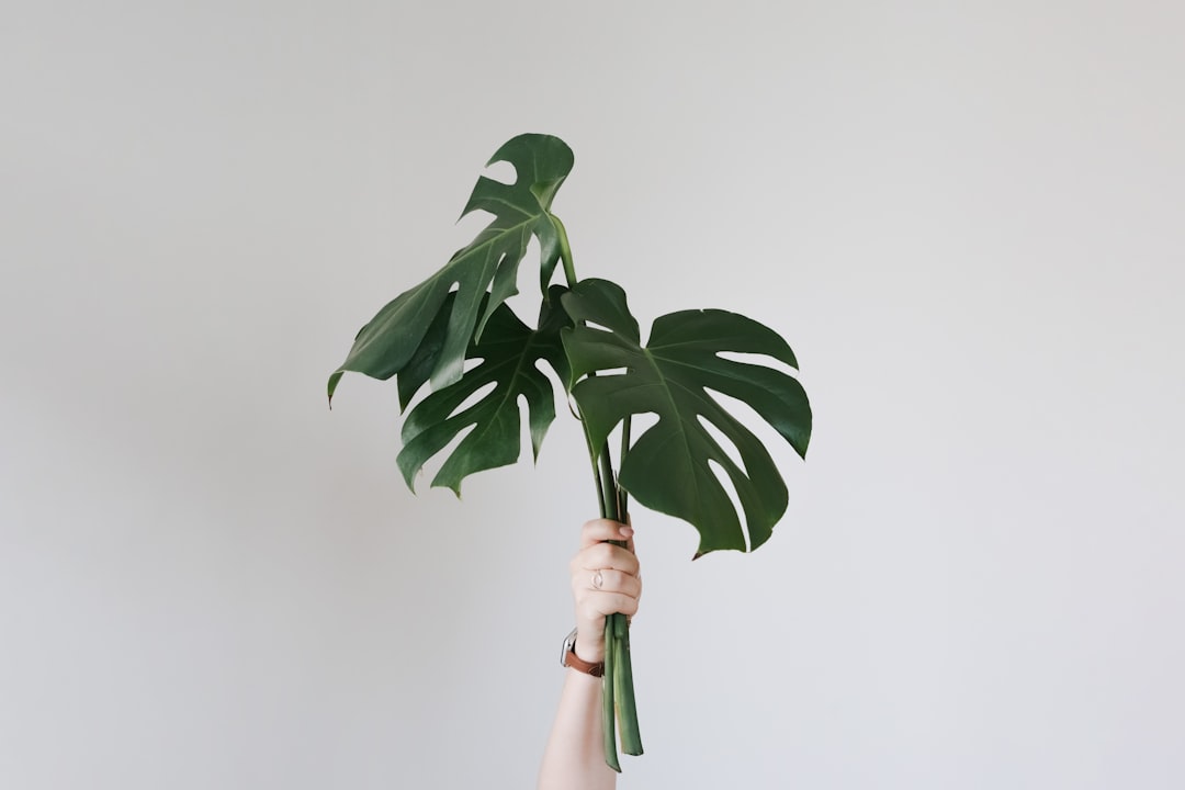 accessoires de yoga | Lieux de Retraites