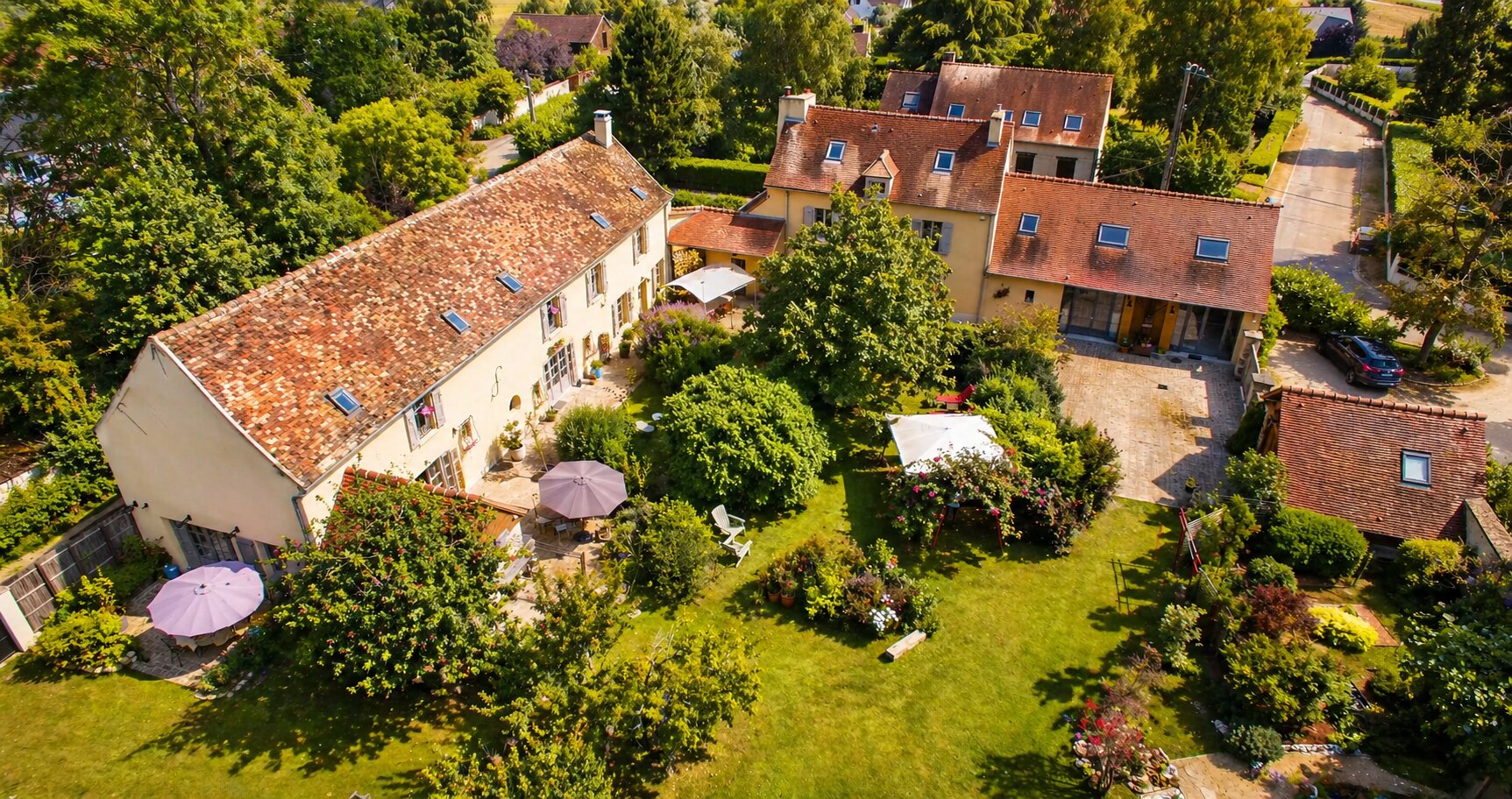 Osélience