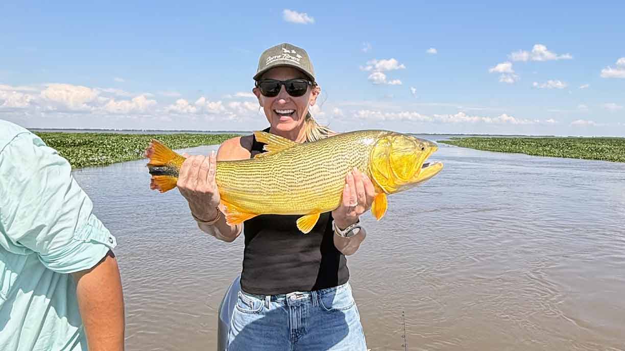 Angler holding a golden dorado on the Paraná River