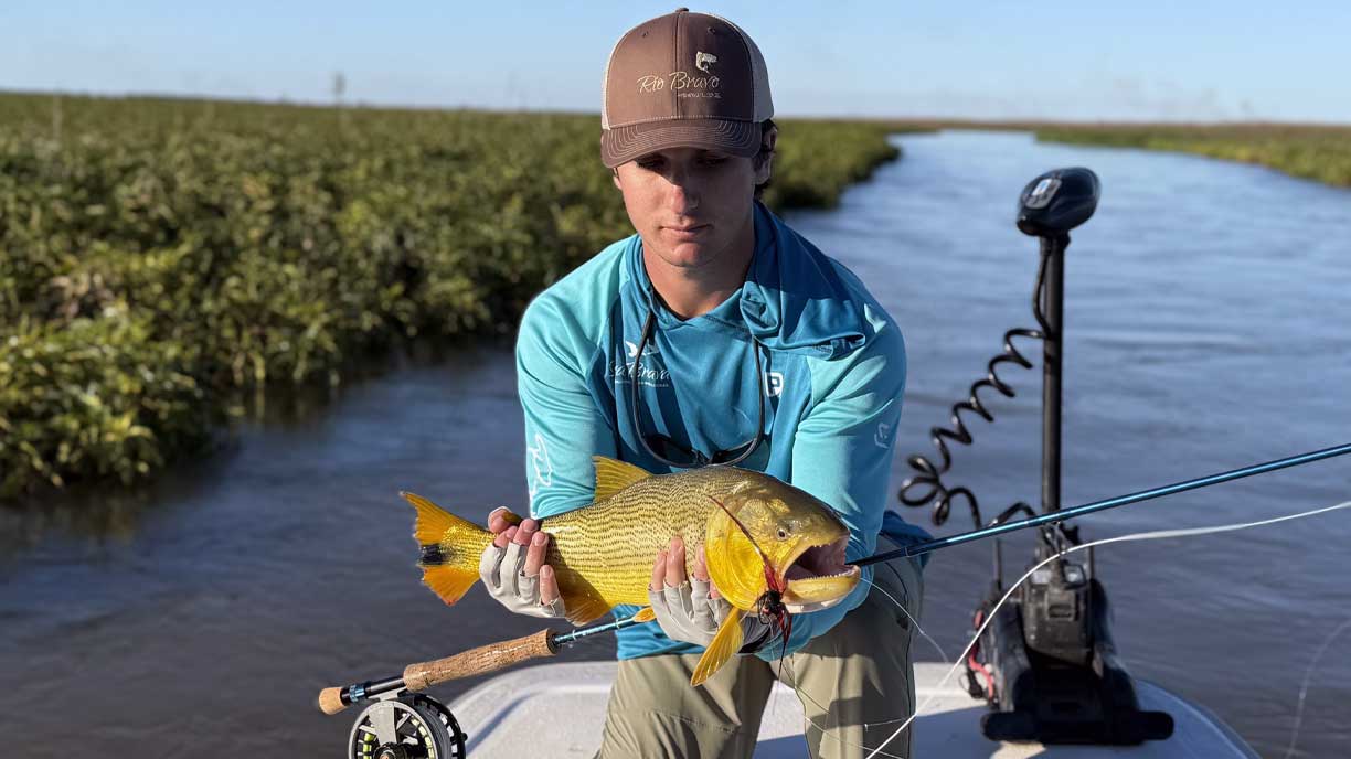Fly Fishing For Golden Dorado Parana River