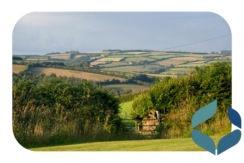 Maidstone Town High Street