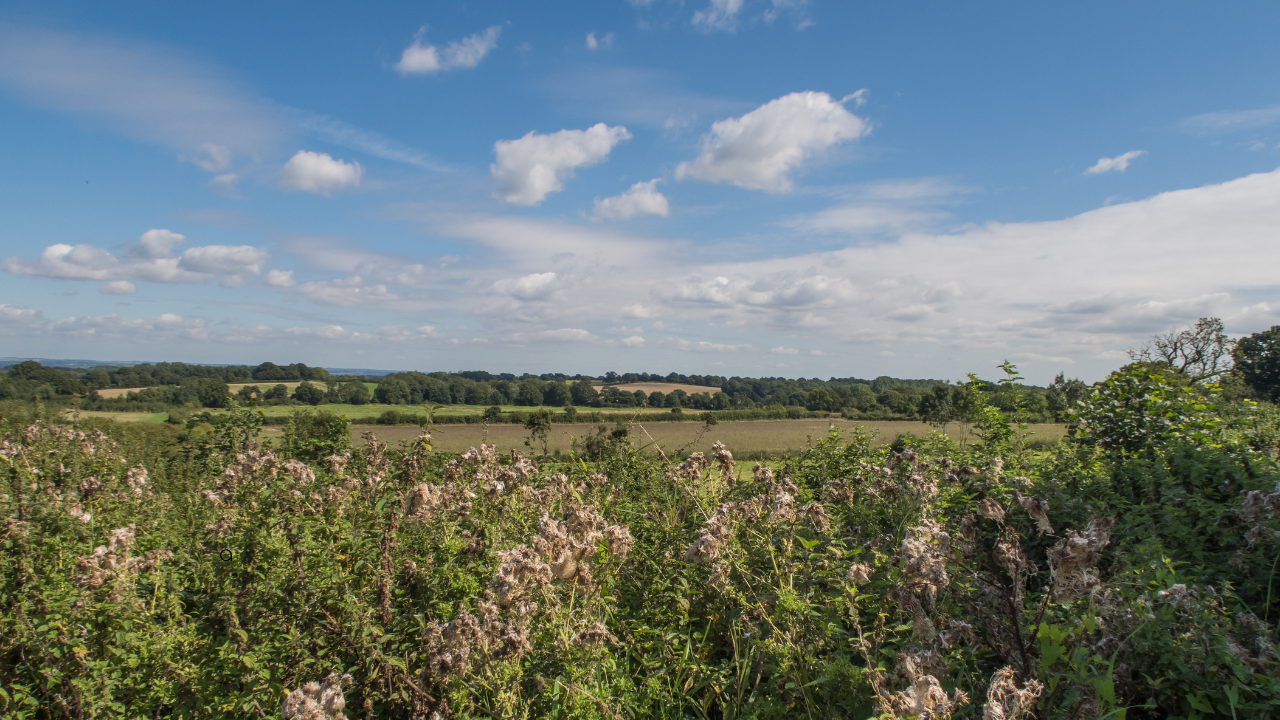 A Picture of the Kent Countryside
