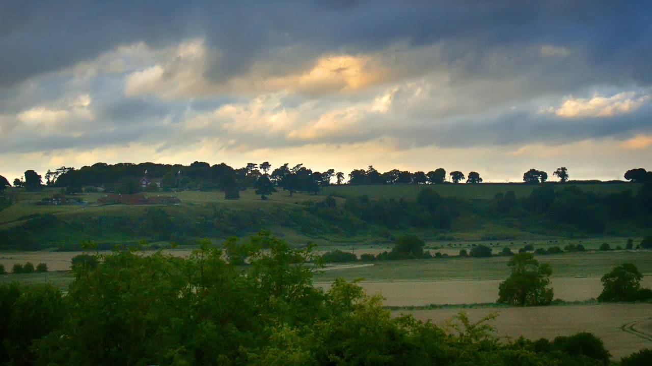 A Picture of East Sussex Countryside