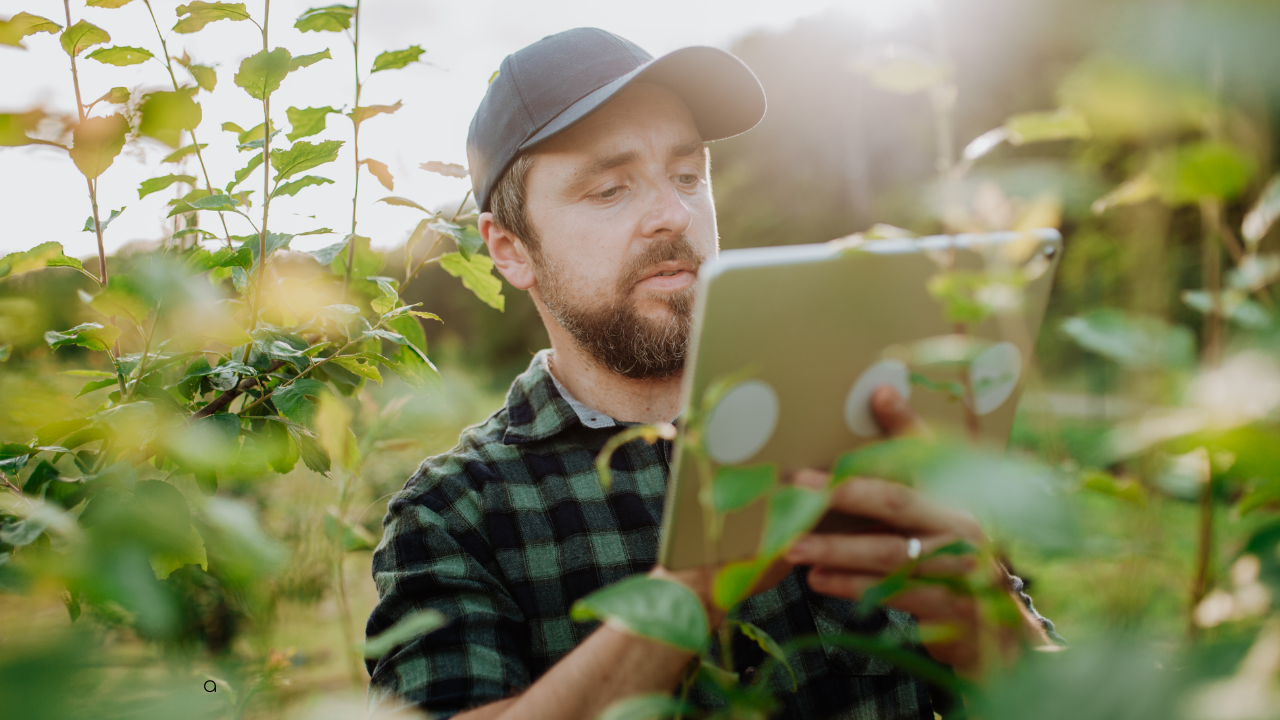 Man wearing a cap and plaid shirt using a tablet among green plants outdoors.