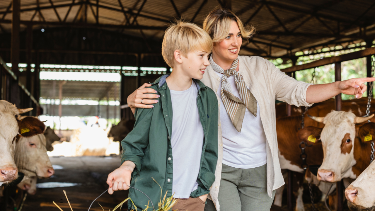 Woman with arm around boy pointing inside a barn with cows in stalls.