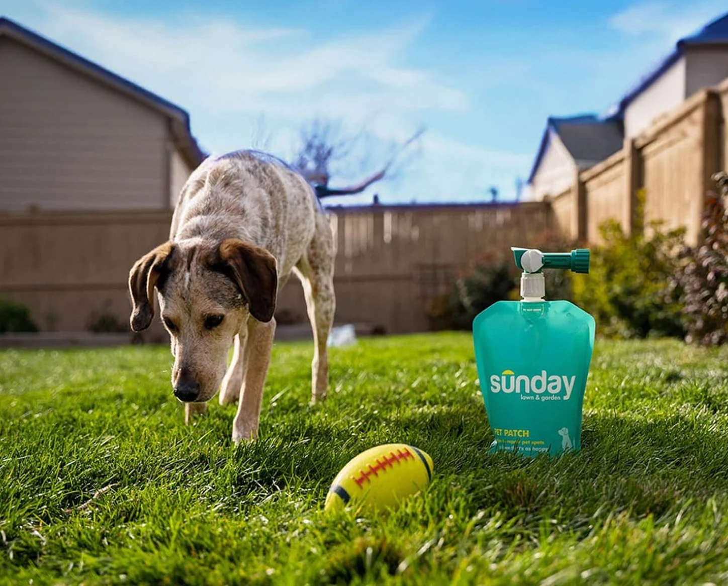 Dog standing on a backyard lawn next to a Sunday pet-safe lawn care spray bottle and toy