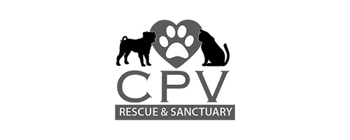 CPV
