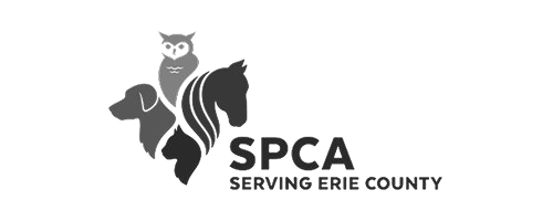 SPCA