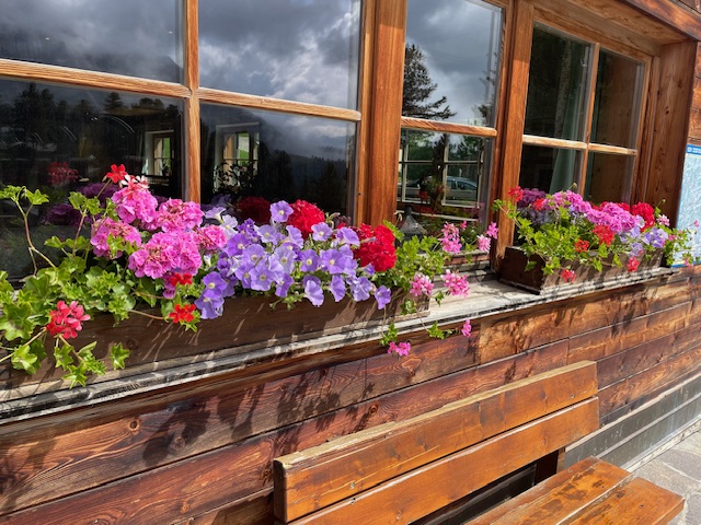 Colorful flower boxes on wooden cabin windows against stormy sky backdrop