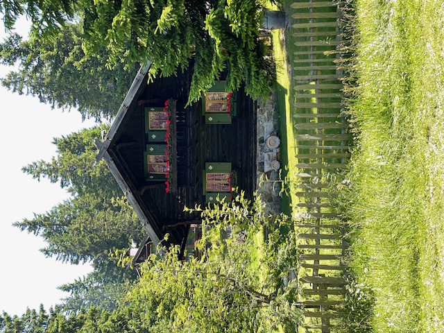 Rustic wooden chalet with red flowers, surrounded by green forest and fence