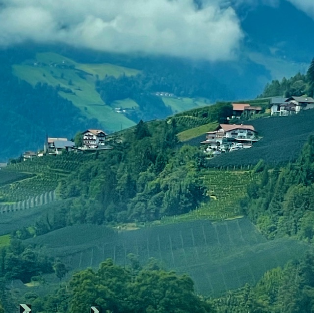 Alpine village nestled on misty green mountainside with vineyards and houses
