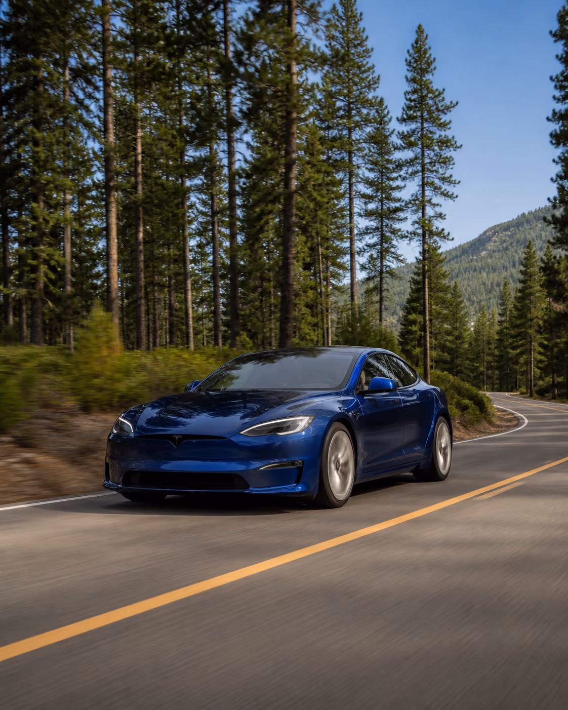 Grey Tesla Model Y navigating a forested road