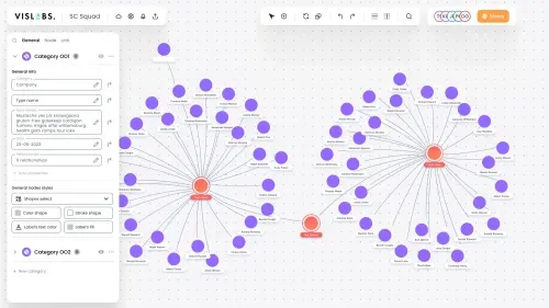 Data visualization example of a knowledge graph editor, showing a network diagram with two central nodes, each connected to multiple surrounding nodes, with a side panel showing category details and node styling options.