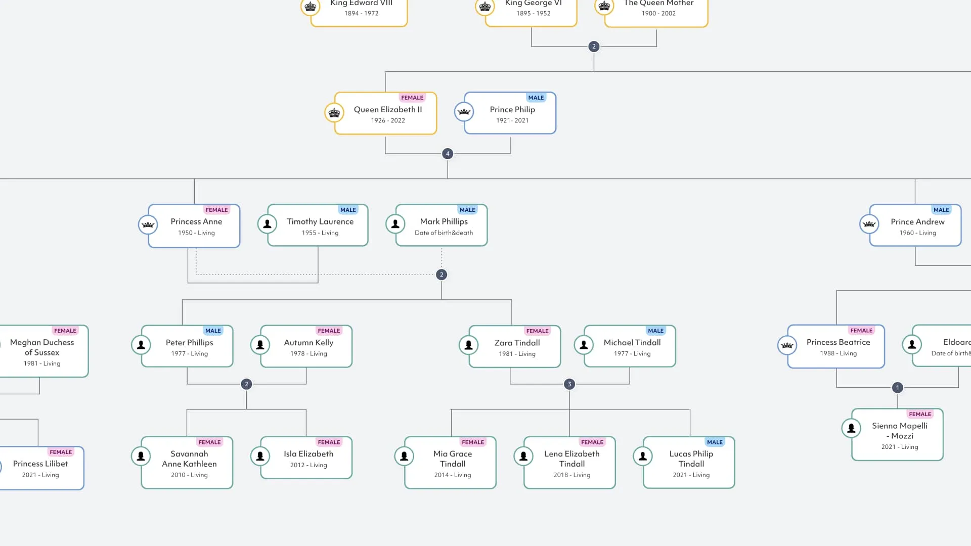 An ‘After’ view of a family tree diagram created with GoJS. This side shows the updated design with a more detailed and organized family tree, including additional family members and improved layout. The diagram illustrates the enhanced clarity and structure achieved using GoJS.