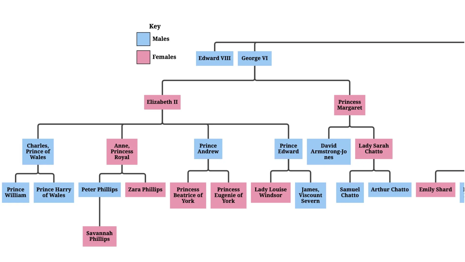 A ‘Before’ view of a family tree diagram created with GoJS. This side displays the initial design with a basic hierarchical structure.