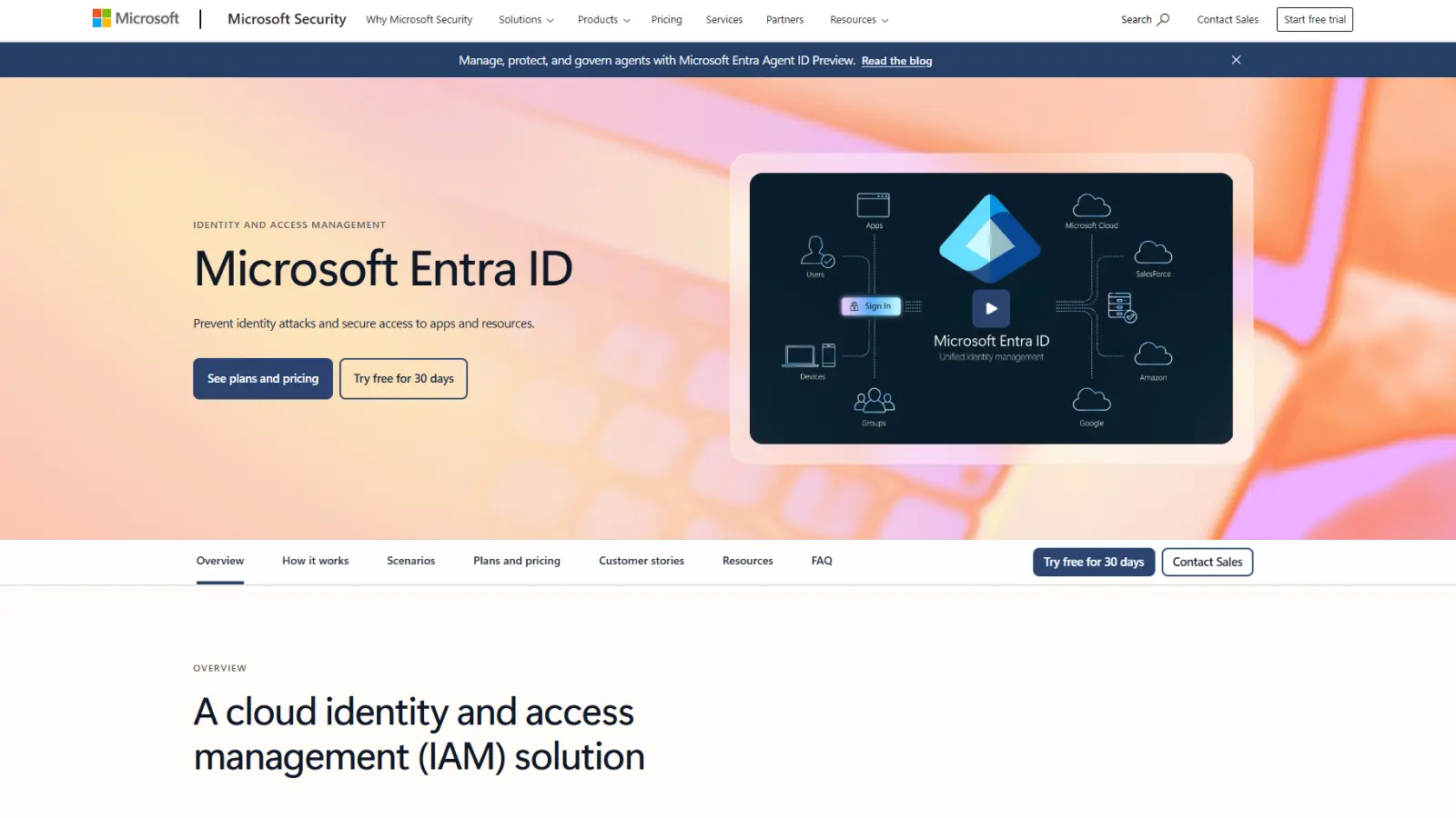 Microsoft Entra ID Passwordless Solution