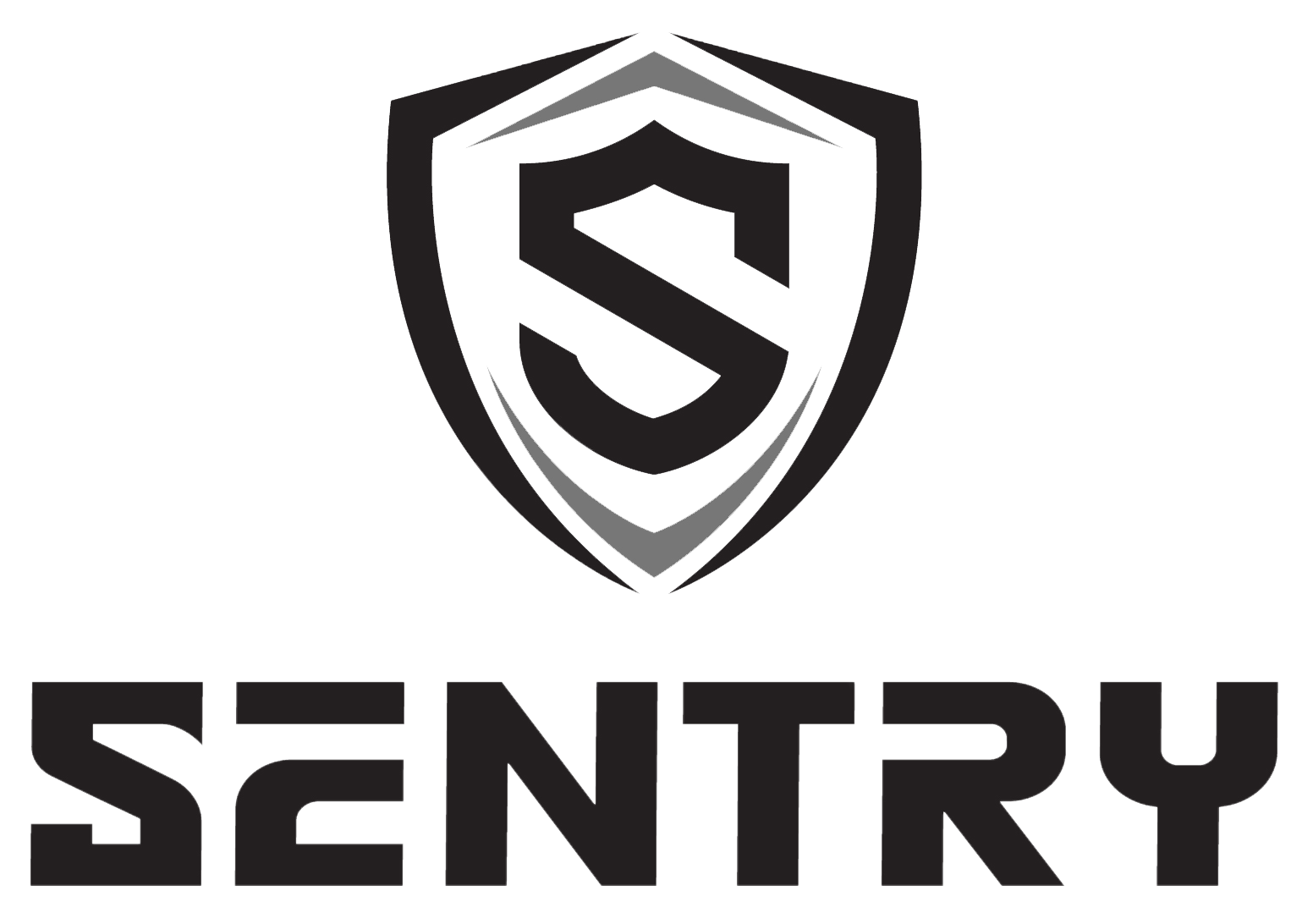 Sentry Hockey