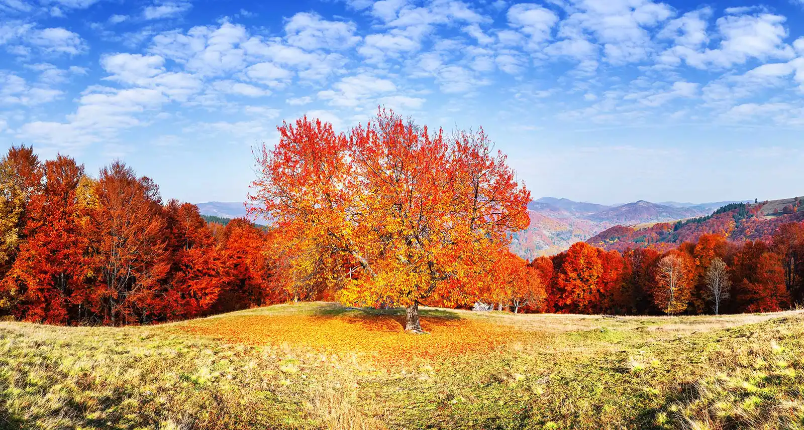 Episode 16 - Charge More Here's Why