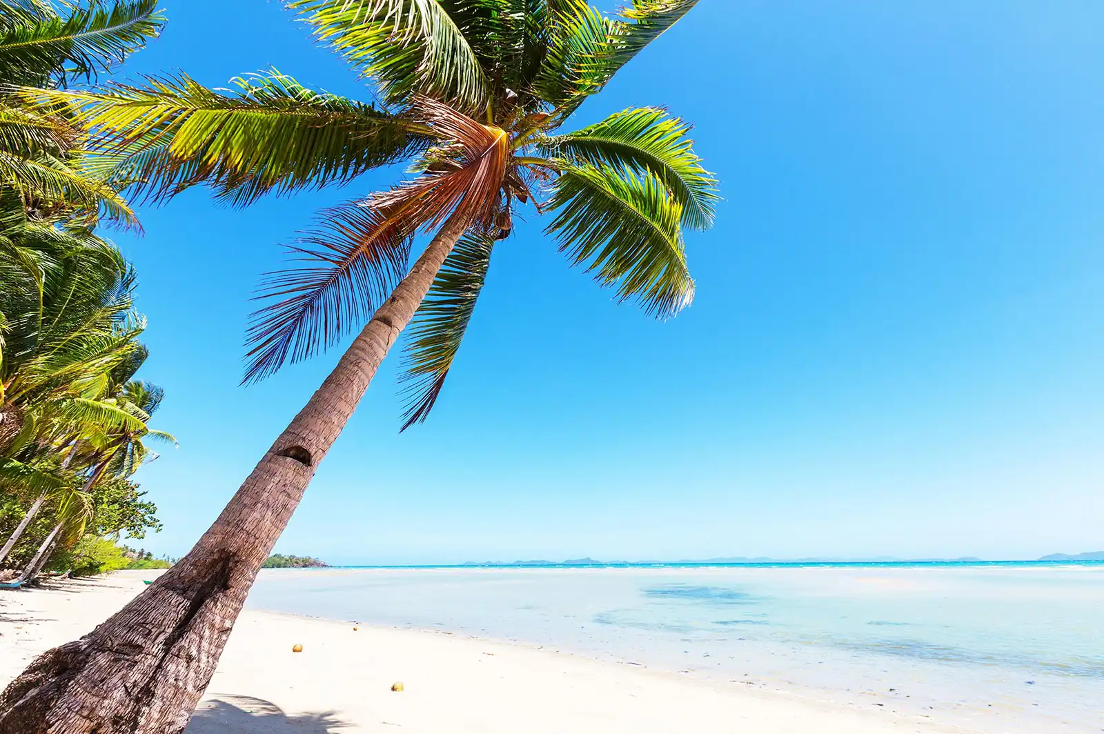 Episode 10 - Frustration & Insecurity