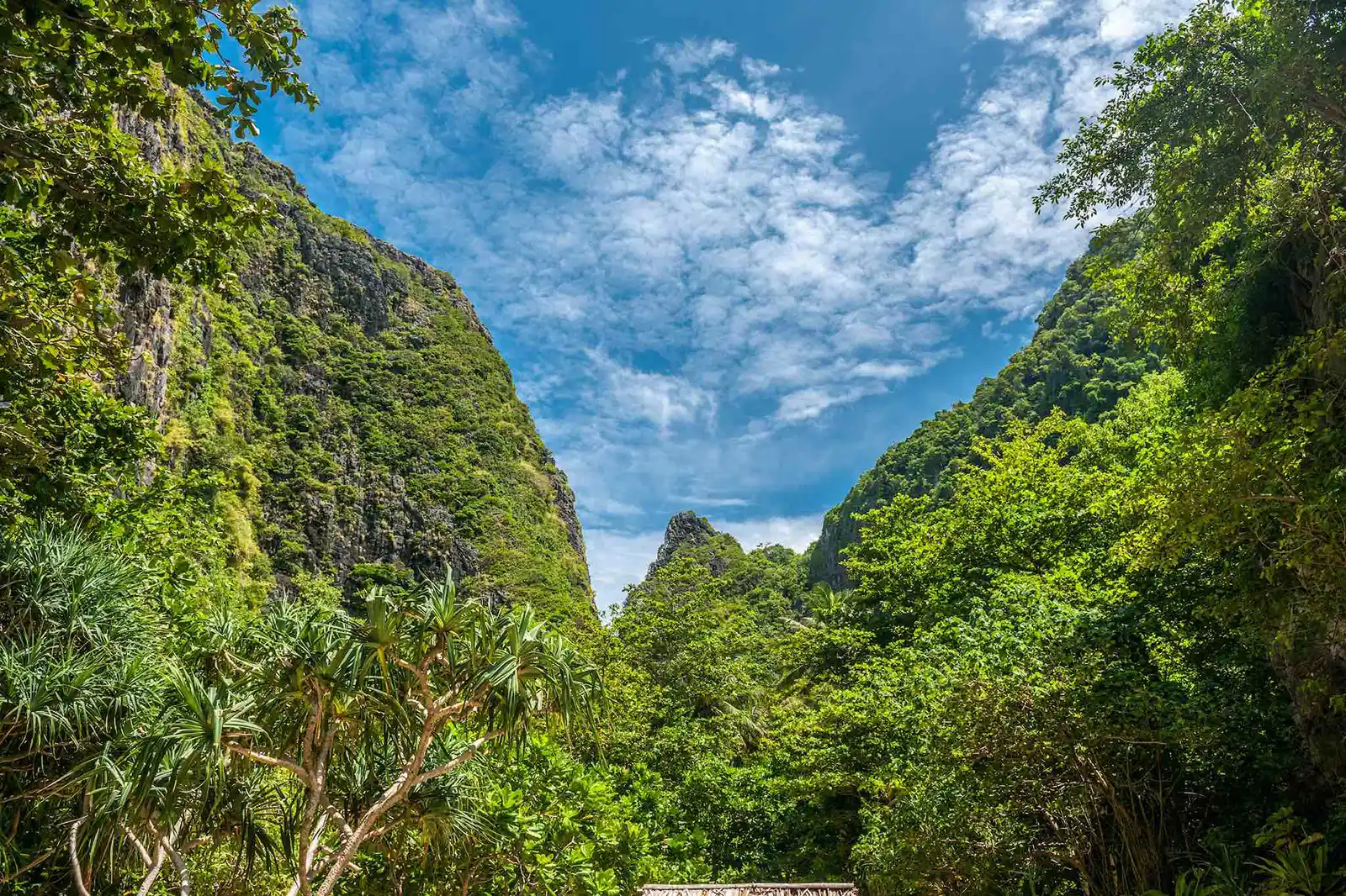 Episode 1 - Comfort Zones