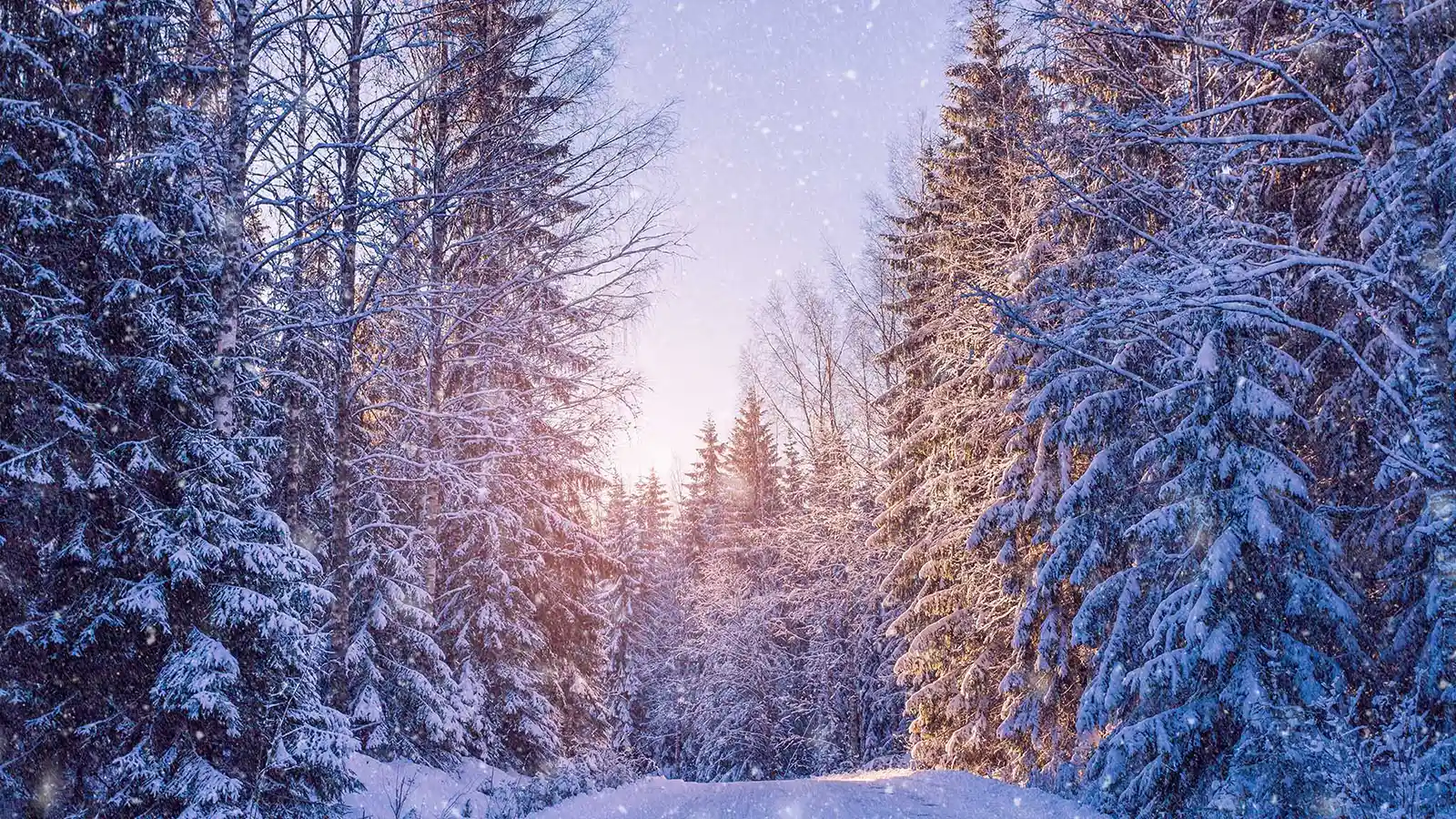 Episode 25 - Experience or Beliefs