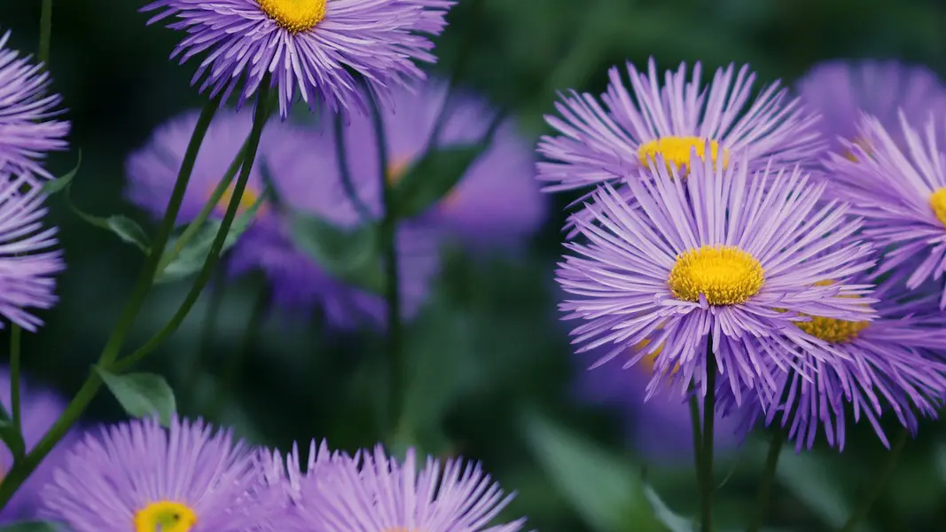 Your Business Will Absolutely Die If It Can't Do This