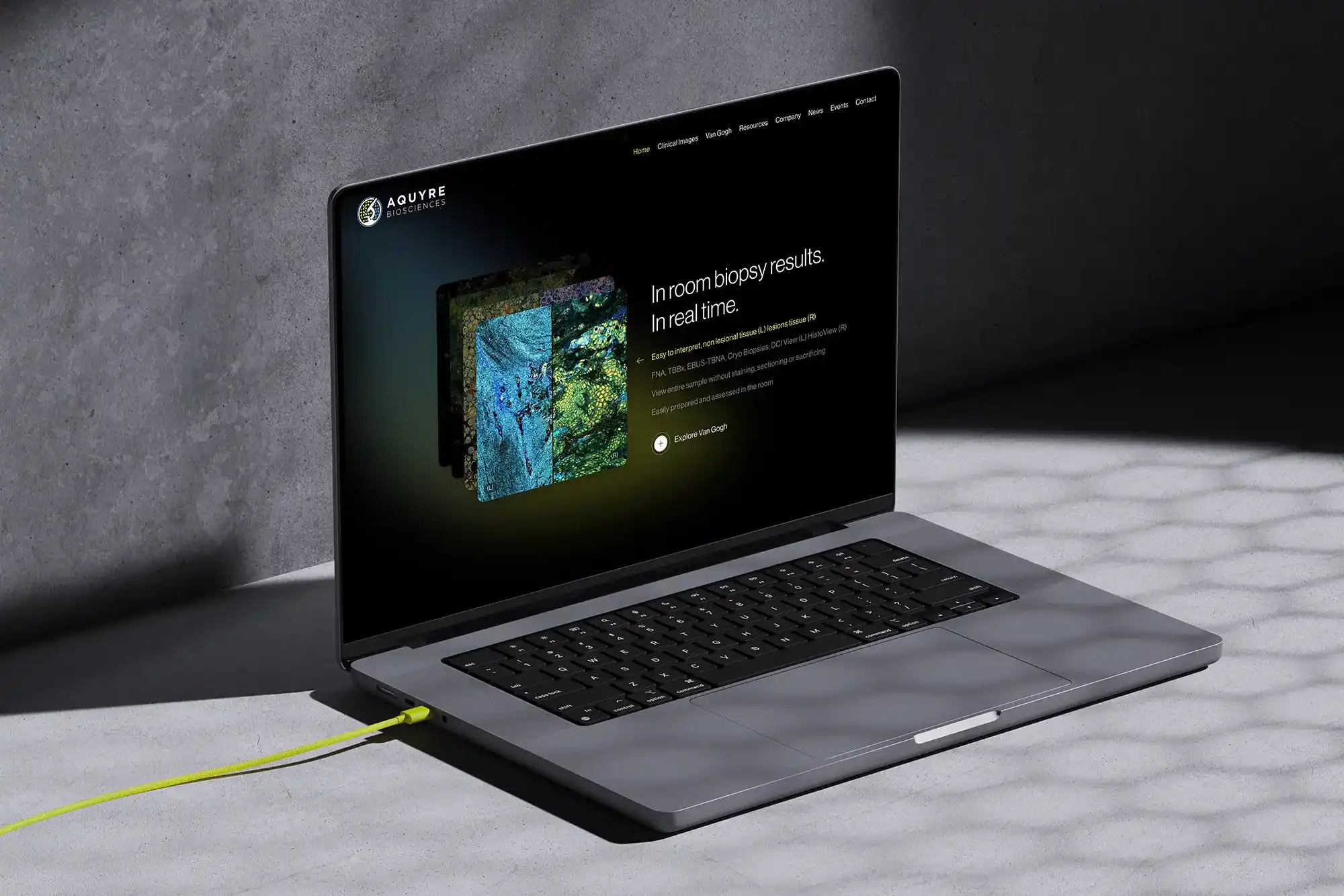 Scaler Marketing Recognized With Worldwide Industry Specific Honors