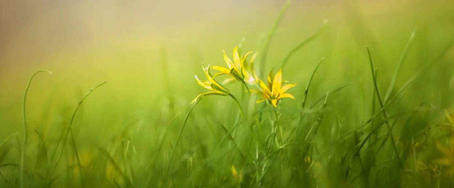 How to Create a Powerful Website, and Why You Should Care