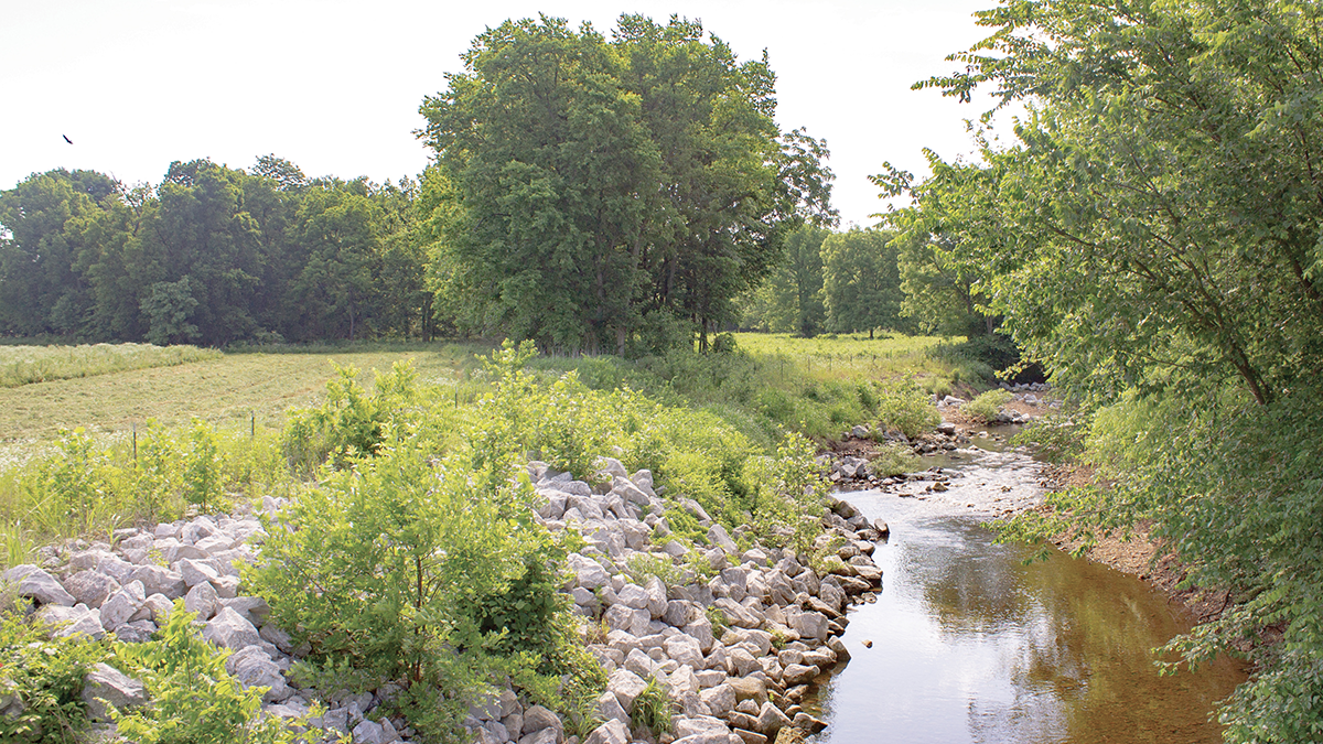 Jenkins Creek Bank Stabilization
