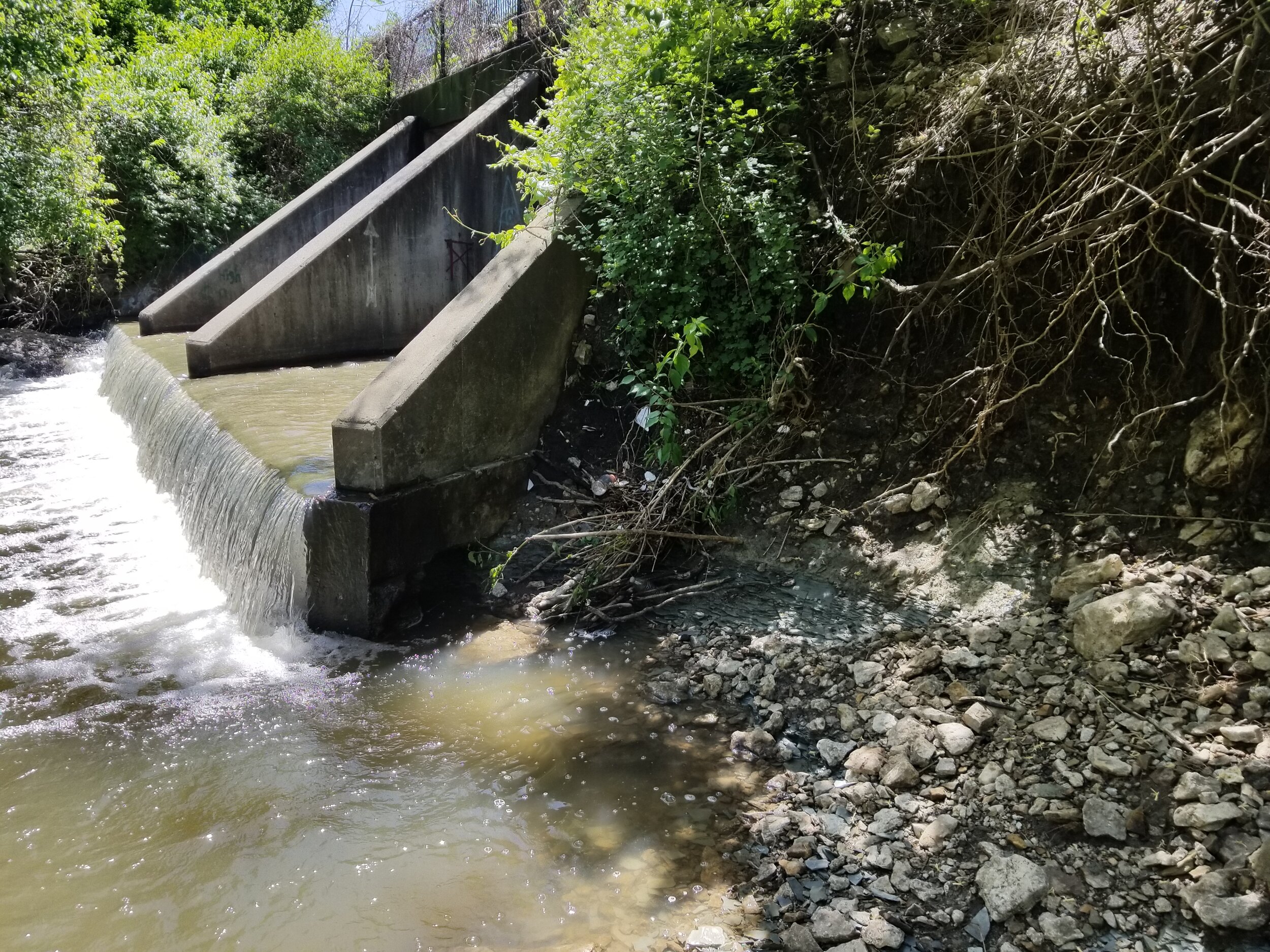 Cedar Creek Eddie Damage