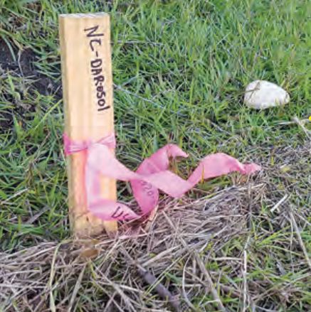 CSI: Investigating High Water Marks for Flooding