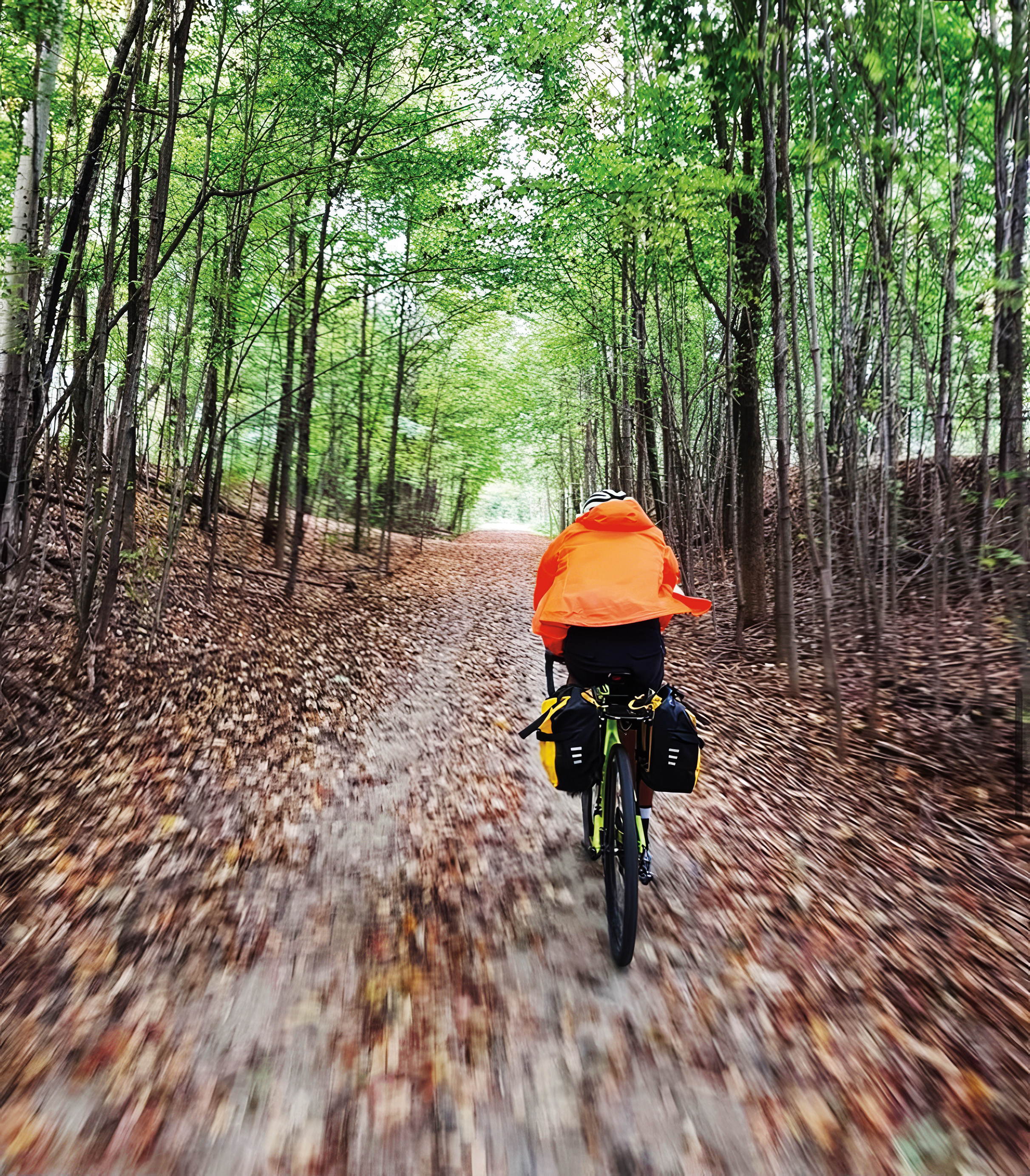 Cyclist riding away from viewer in the fall