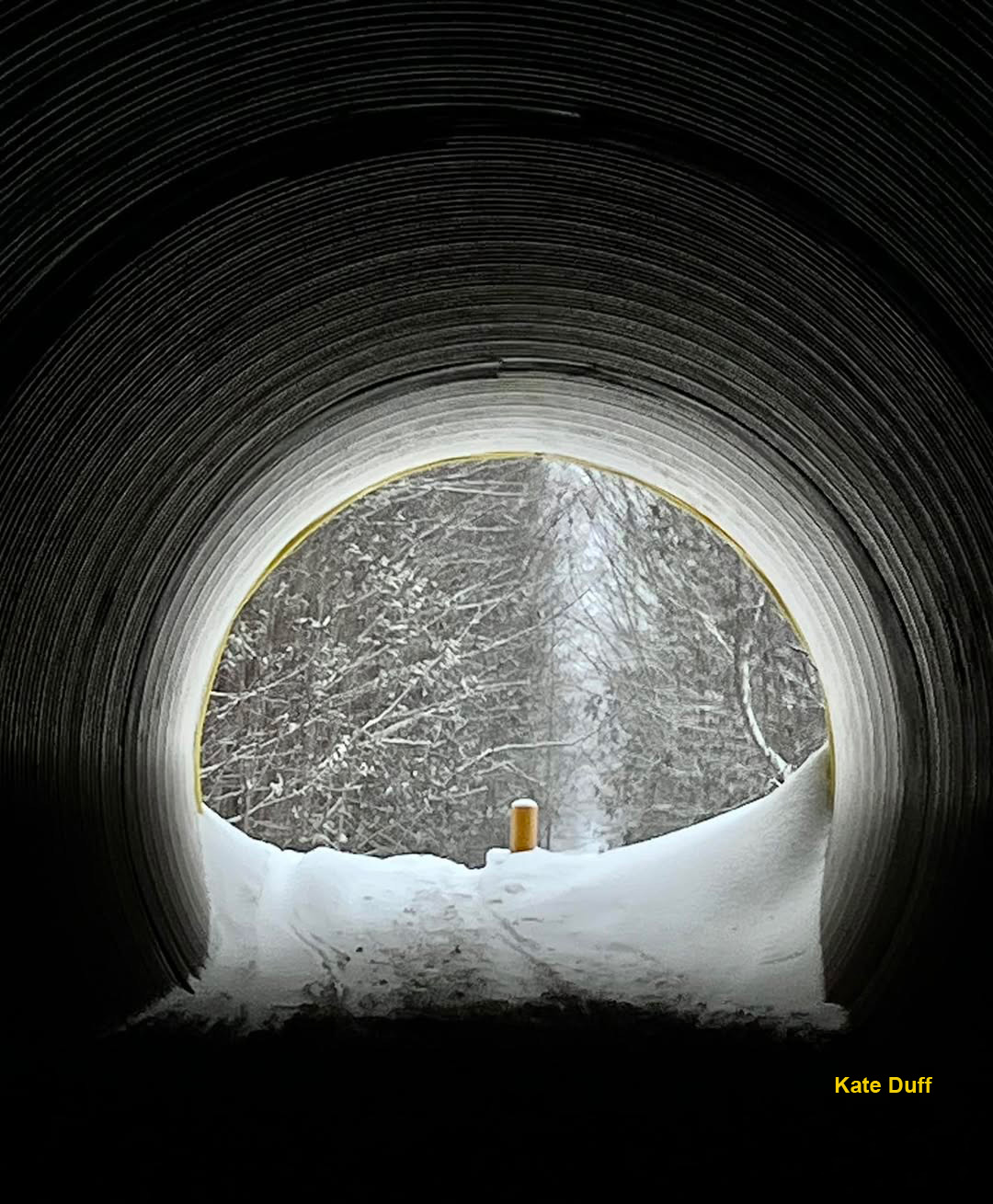 Winter view from inside the Blyth Tunnel