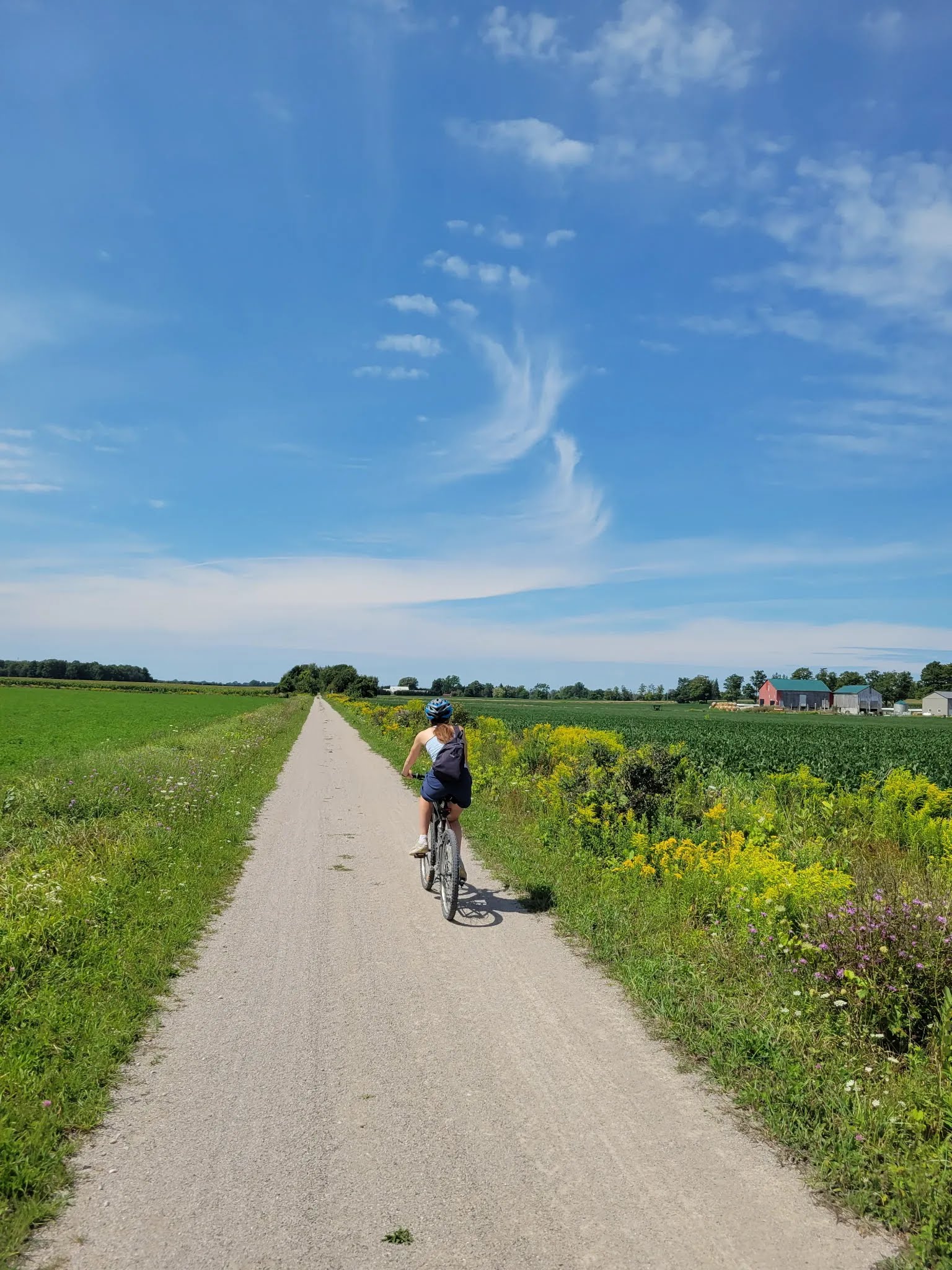 Five cyclists wearing G2G jerseys ride together on a wooded section of the rail trail.
