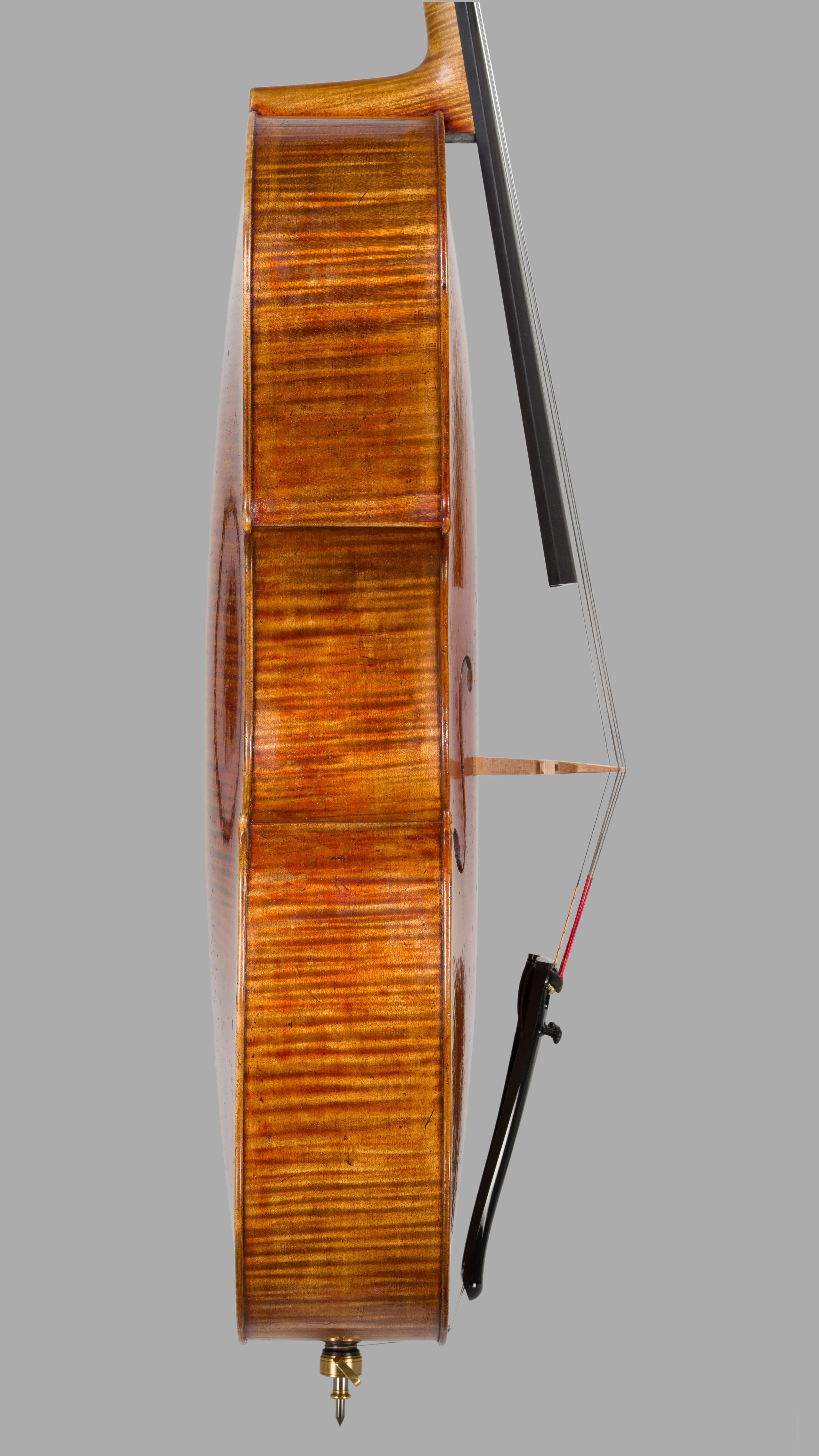 Violoncello Markevitch, Ansicht von der Bassseite