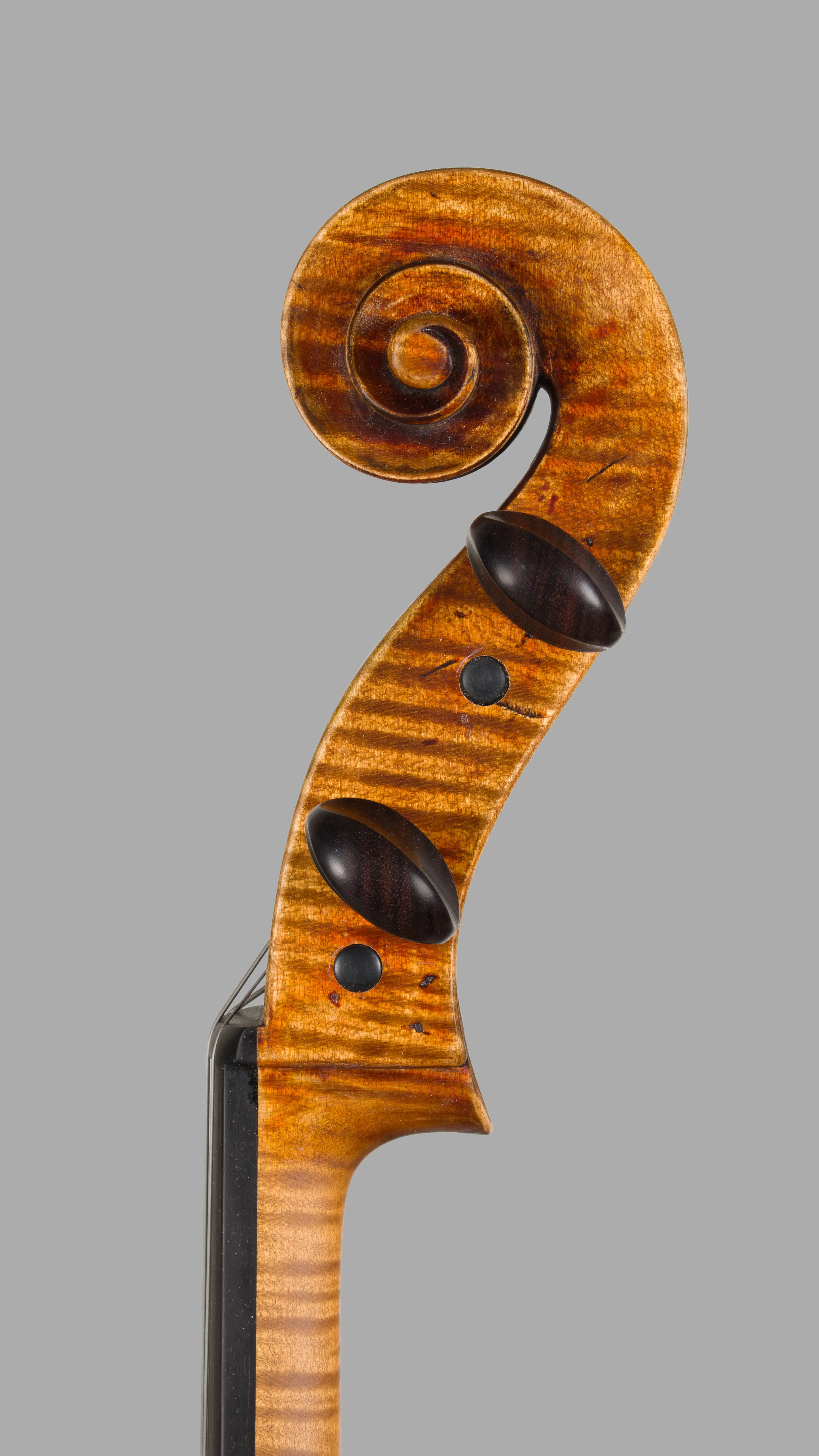 Violoncello Markevitch, Ansicht Schnecke von der Seite