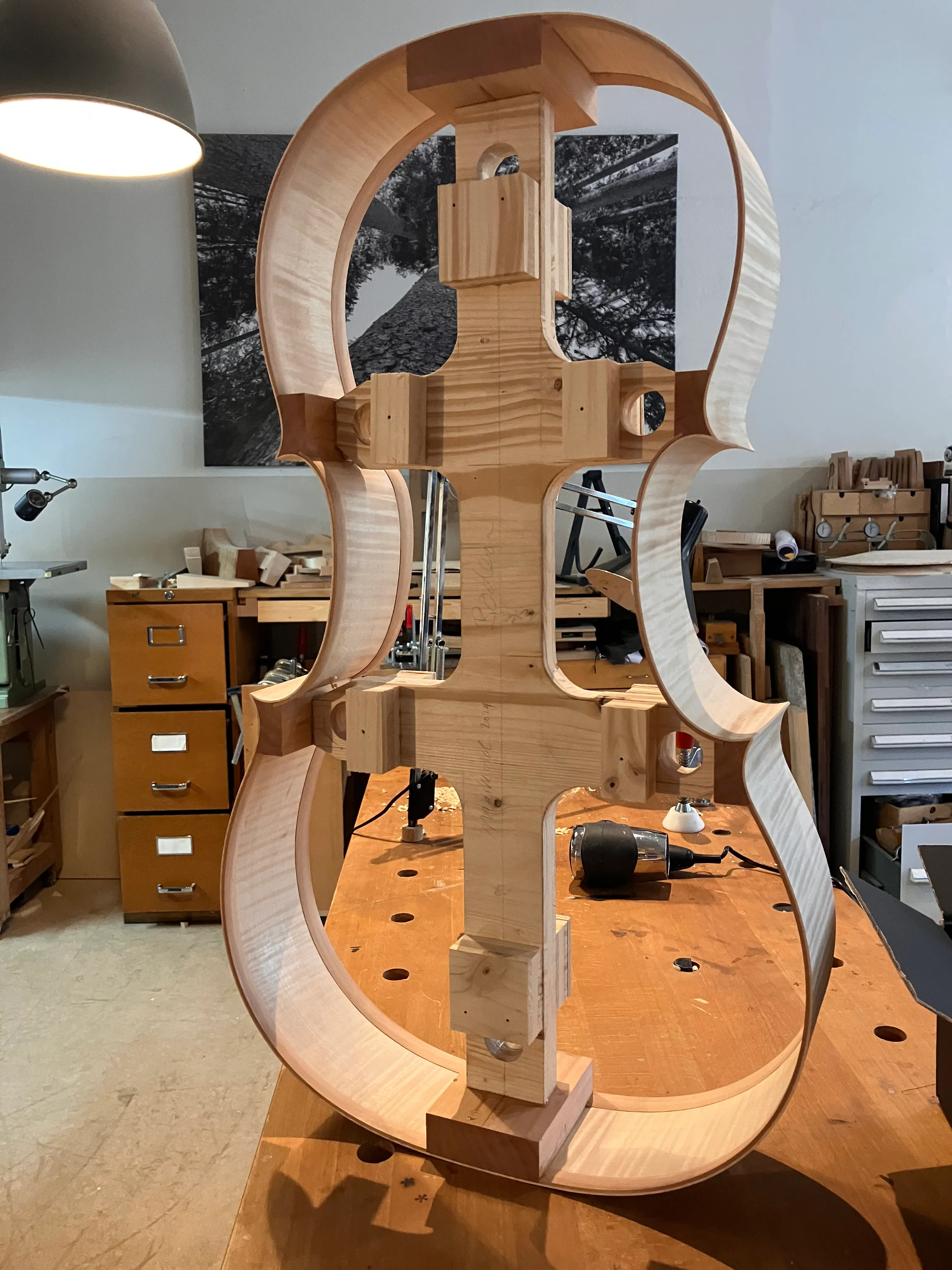 Cello Zargenkranz
