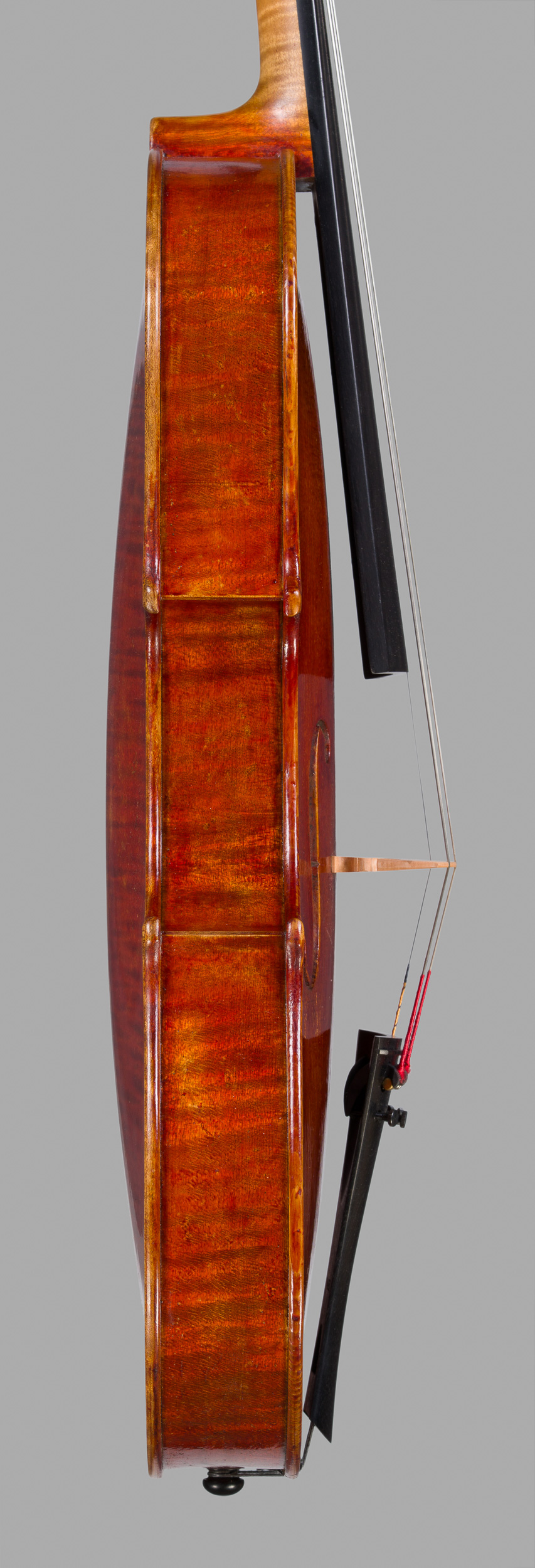 Seitenansicht der Bratsche, bass