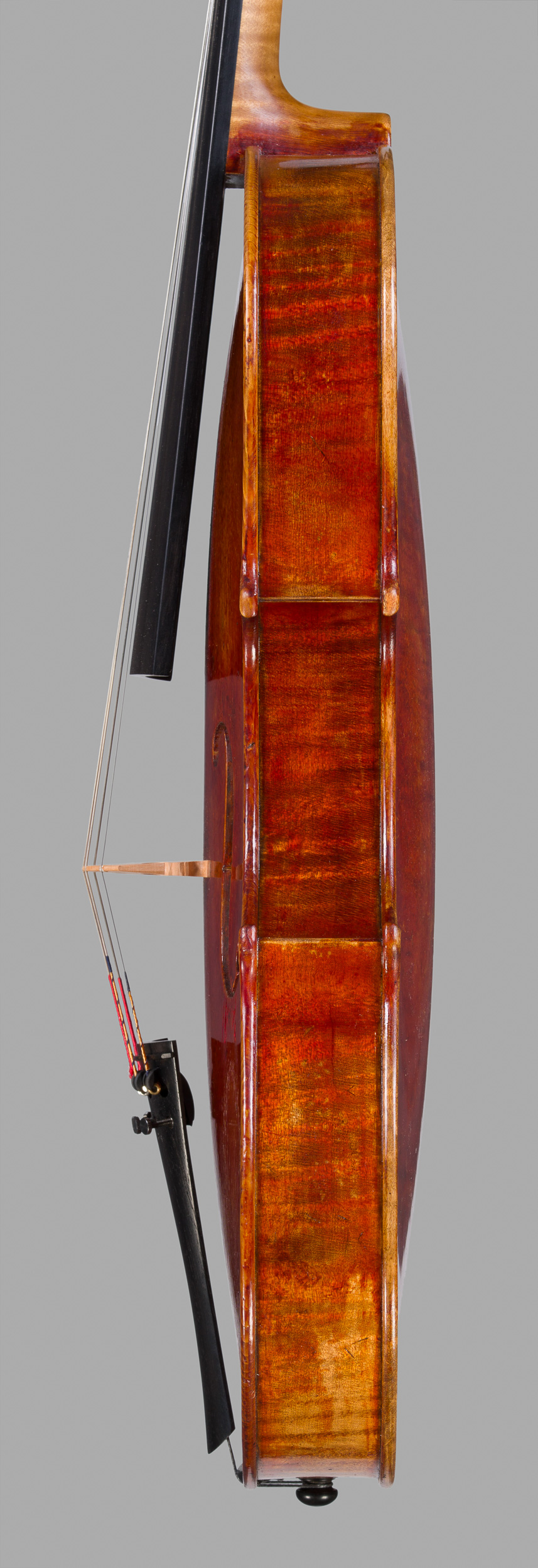 Seitenansicht der Bratsche, diskant