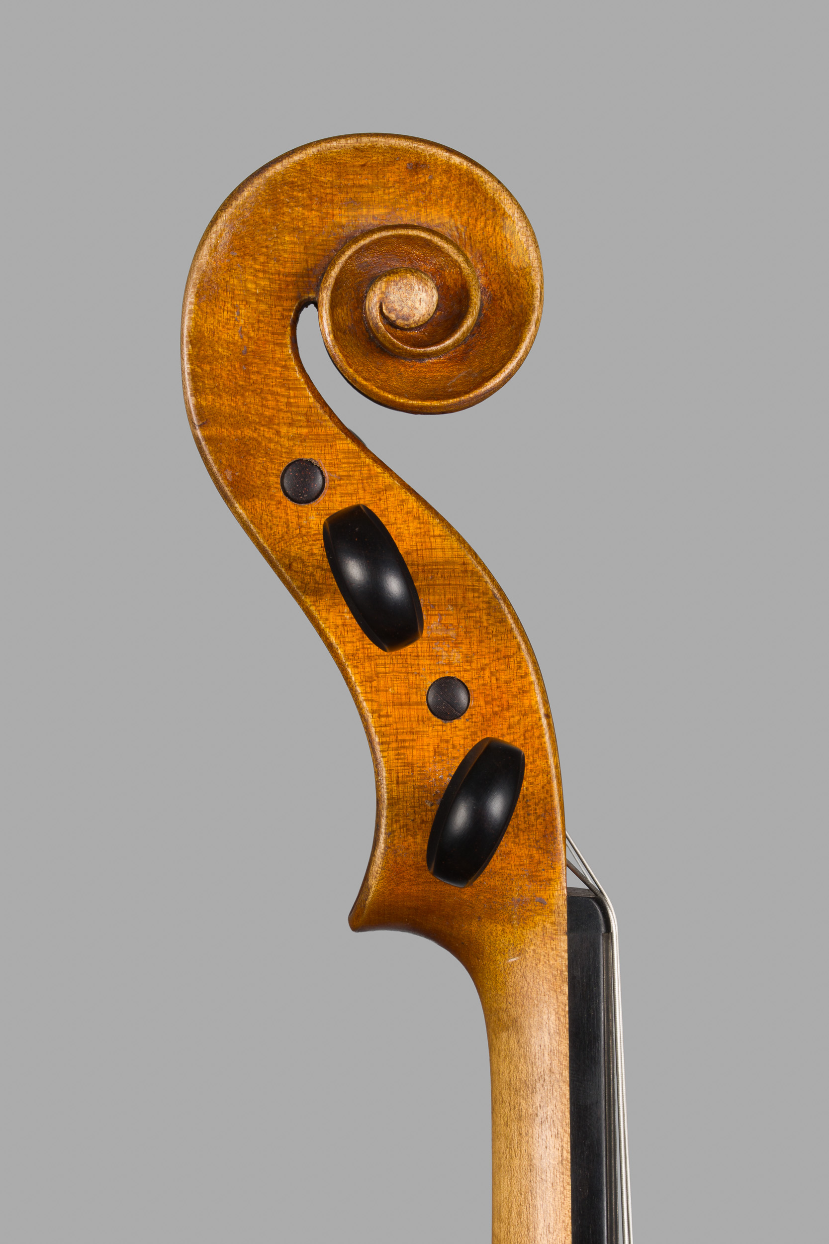 Ansicht der Schnecke von der Bassseite