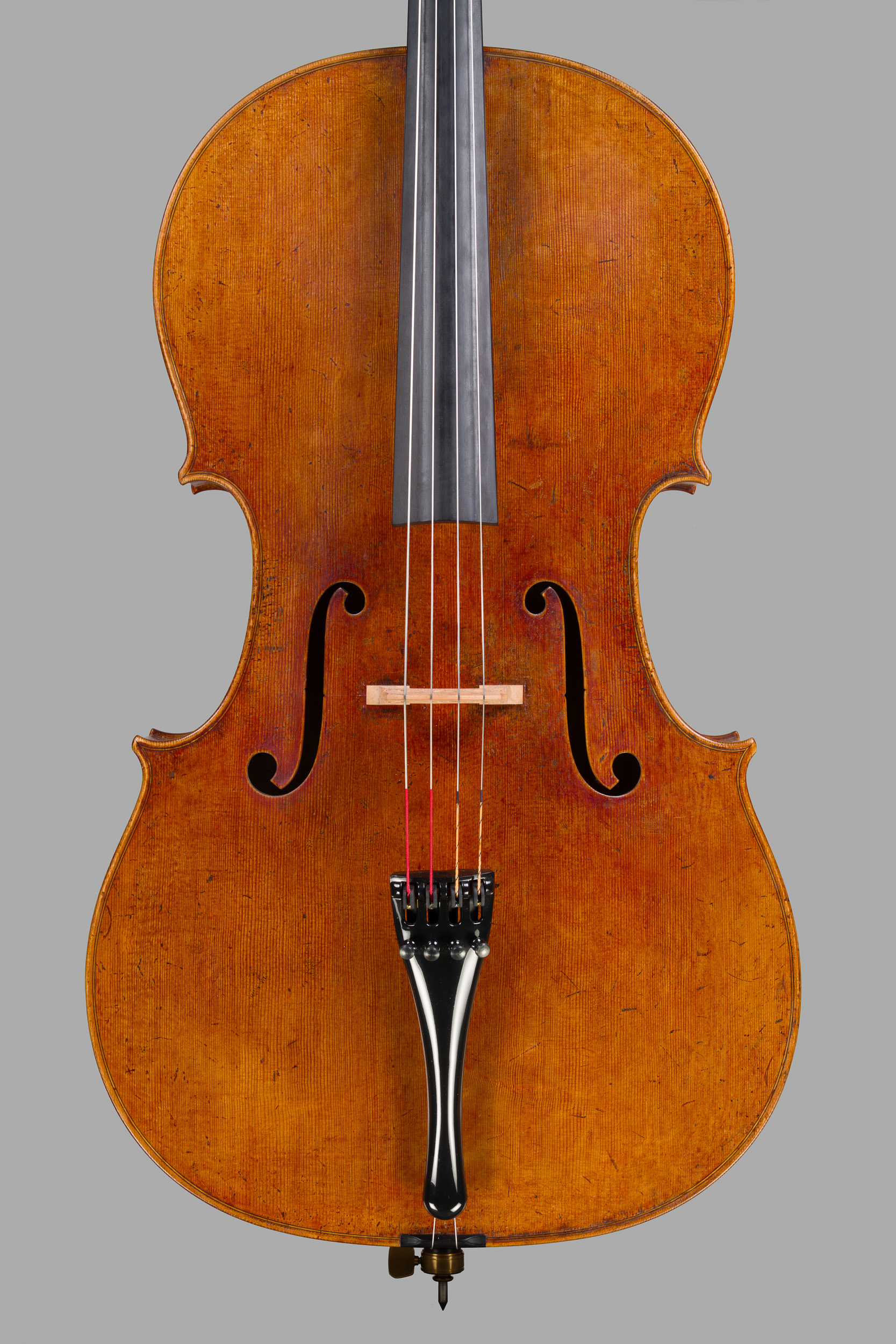 Frontansicht des Violoncellos nach Francesco Ruggeri 2025