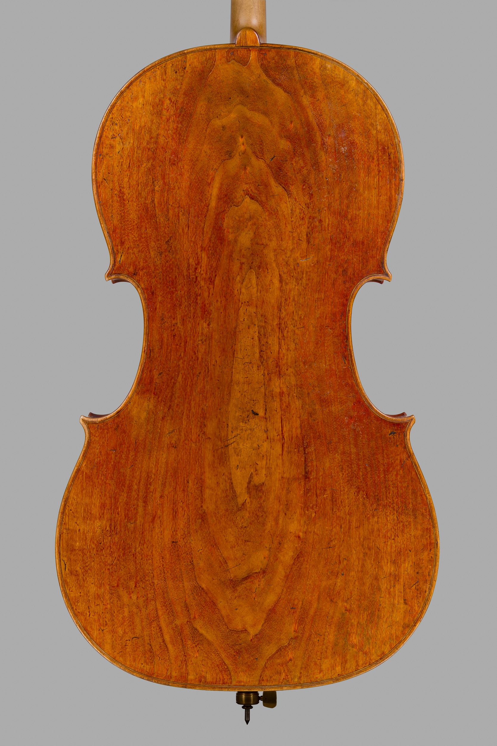 Violoncello Ruggeri 2025, Ansicht von hinten