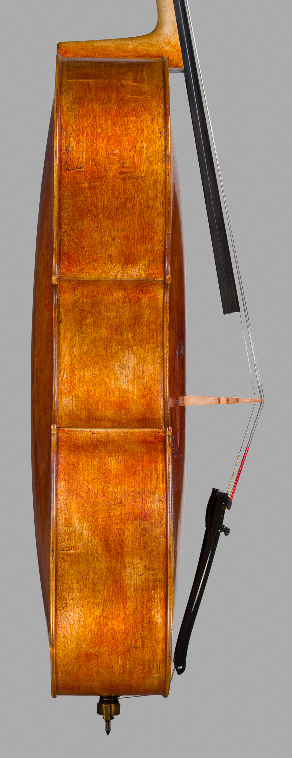 Violoncello Ruggeri 2025, Ansicht von der Bassseite